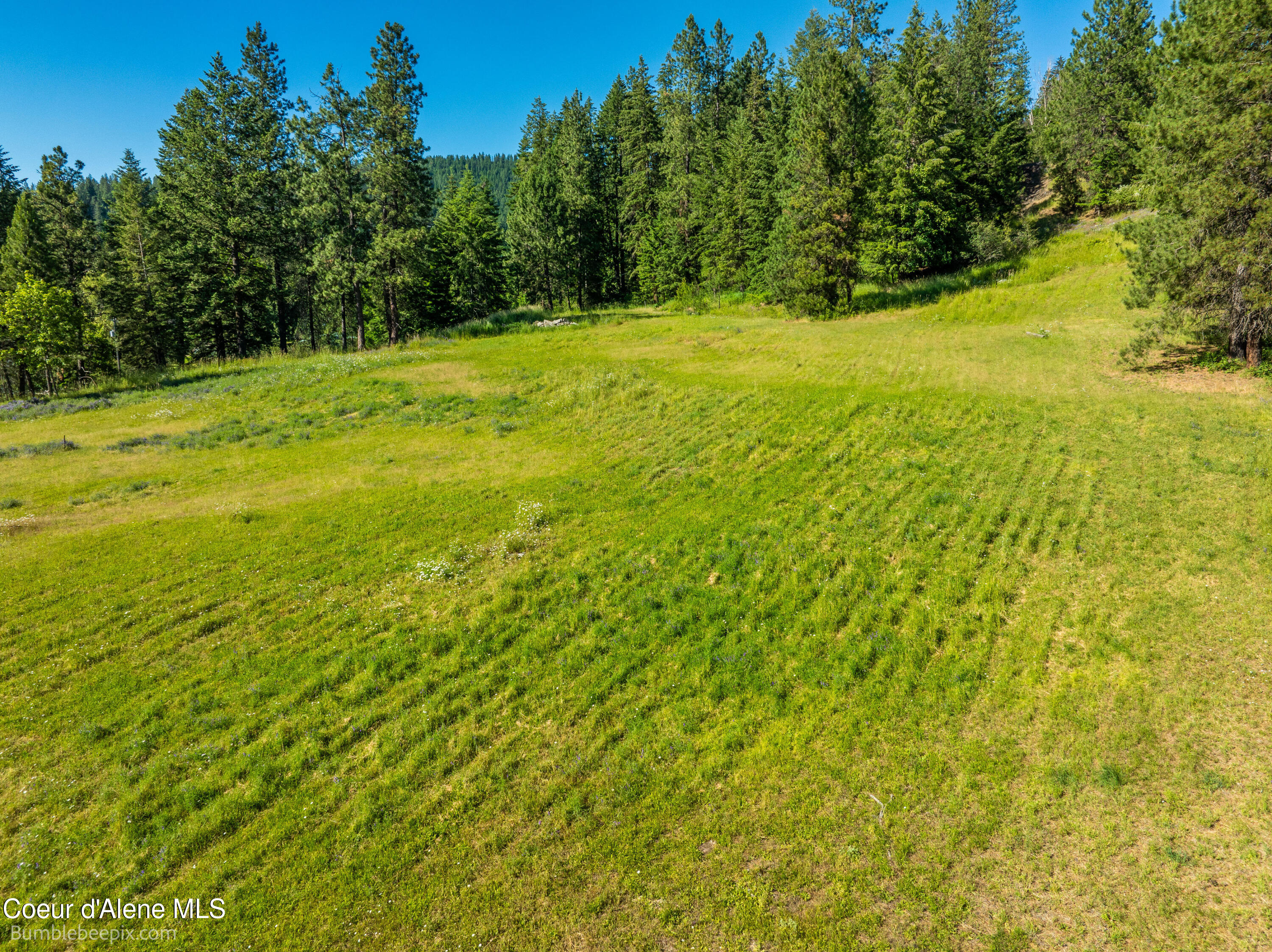 686 & 750 N Lilac Ln, Coeur d'Alene, Texas image 13