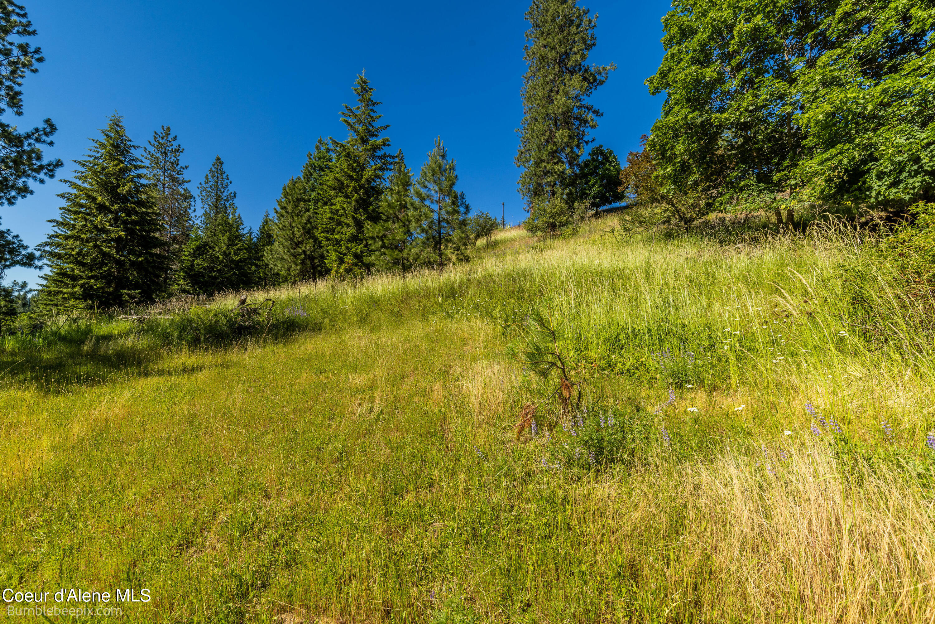 686 & 750 N Lilac Ln, Coeur d'Alene, Texas image 19