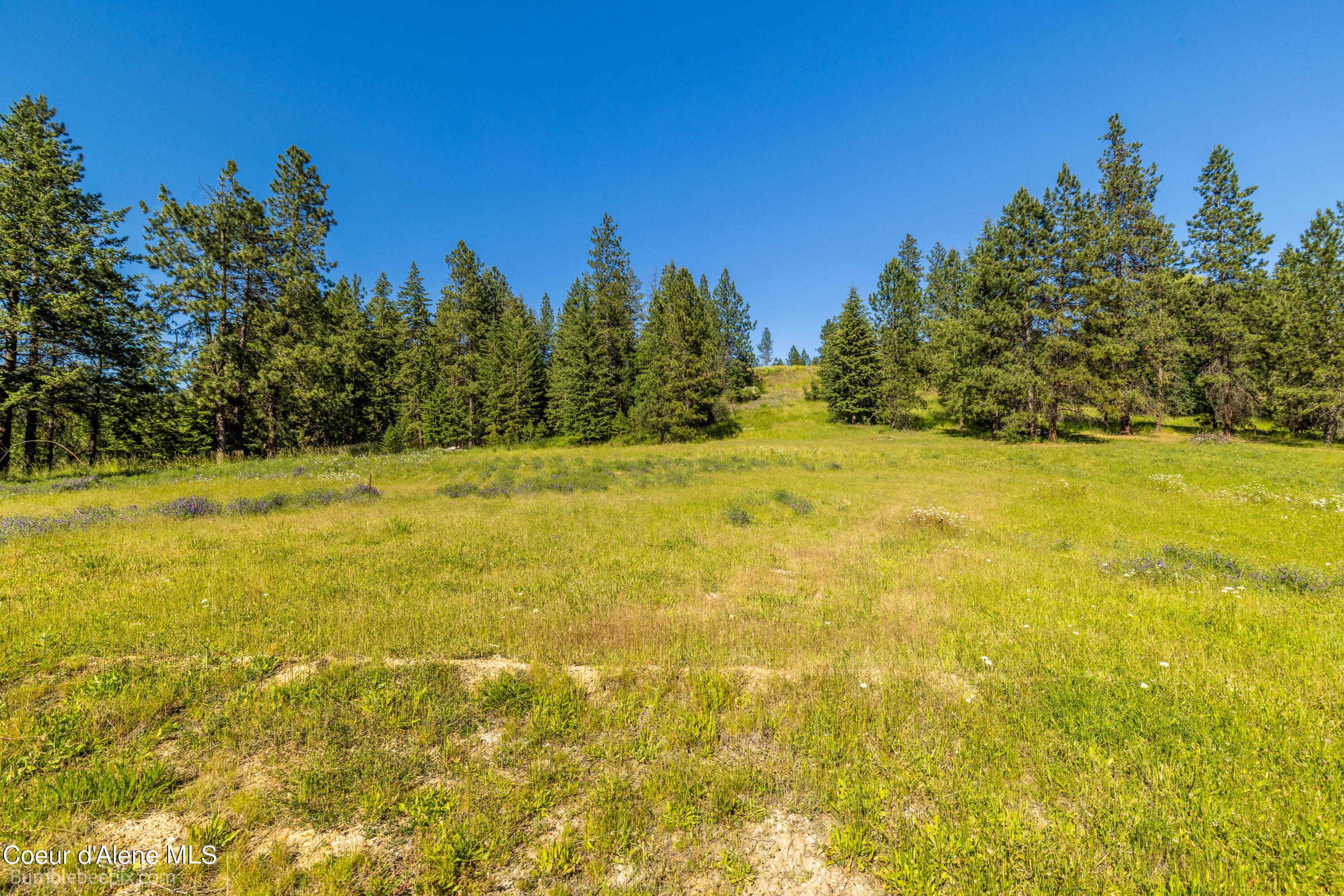 686 & 750 N Lilac Ln, Coeur d'Alene, Texas image 8
