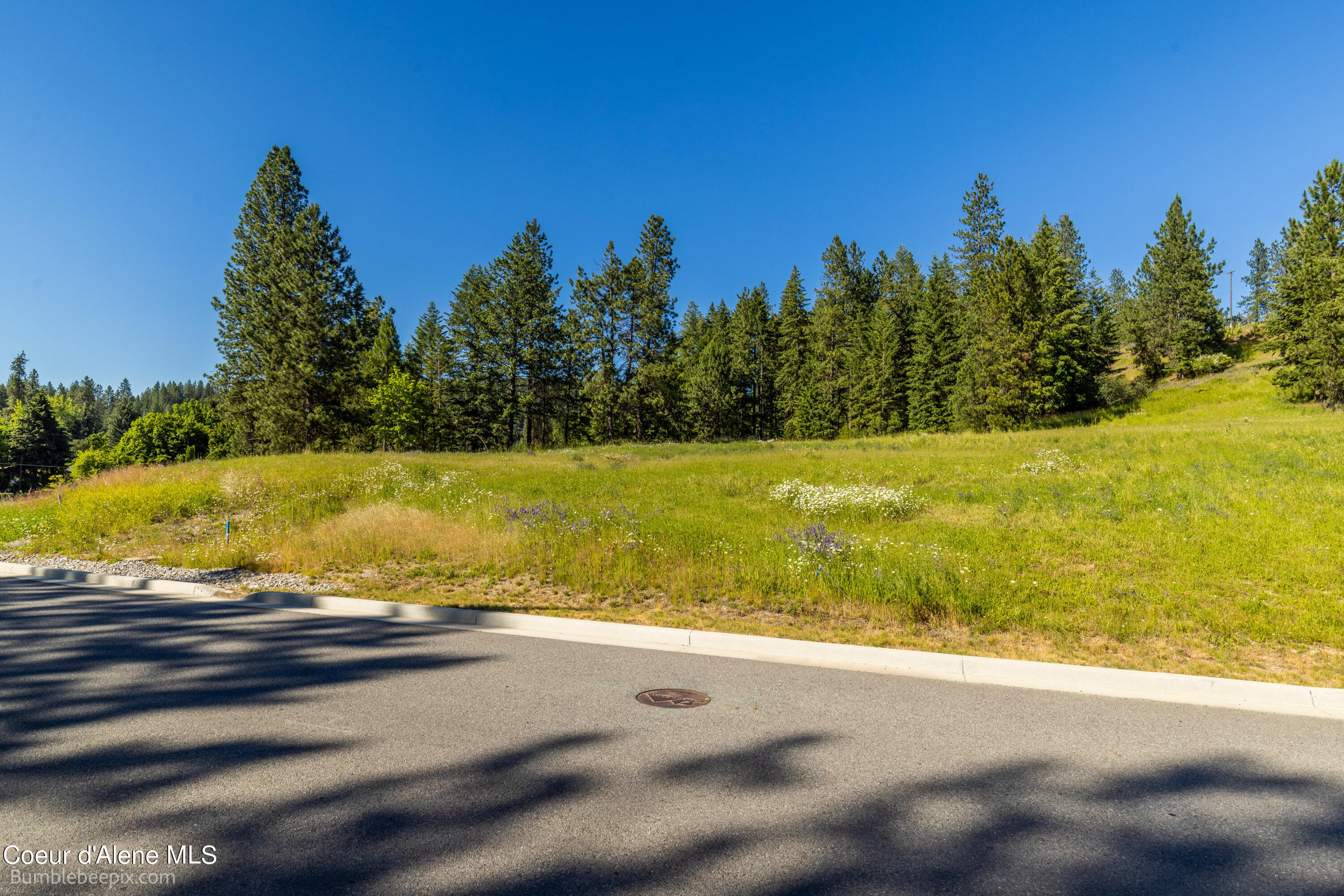 686 & 750 N Lilac Ln, Coeur d'Alene, Texas image 9
