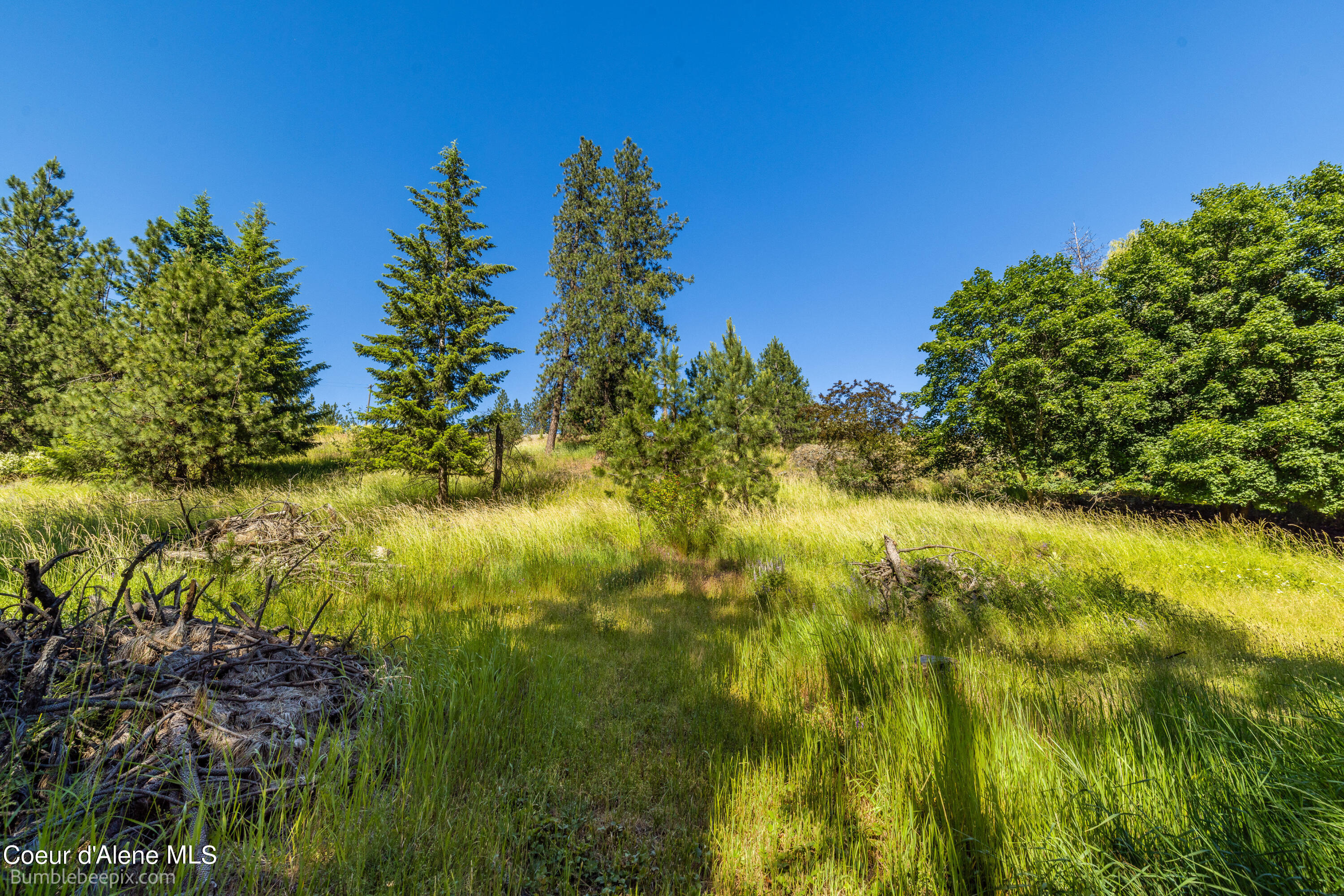 686 & 750 N Lilac Ln, Coeur d'Alene, Texas image 20