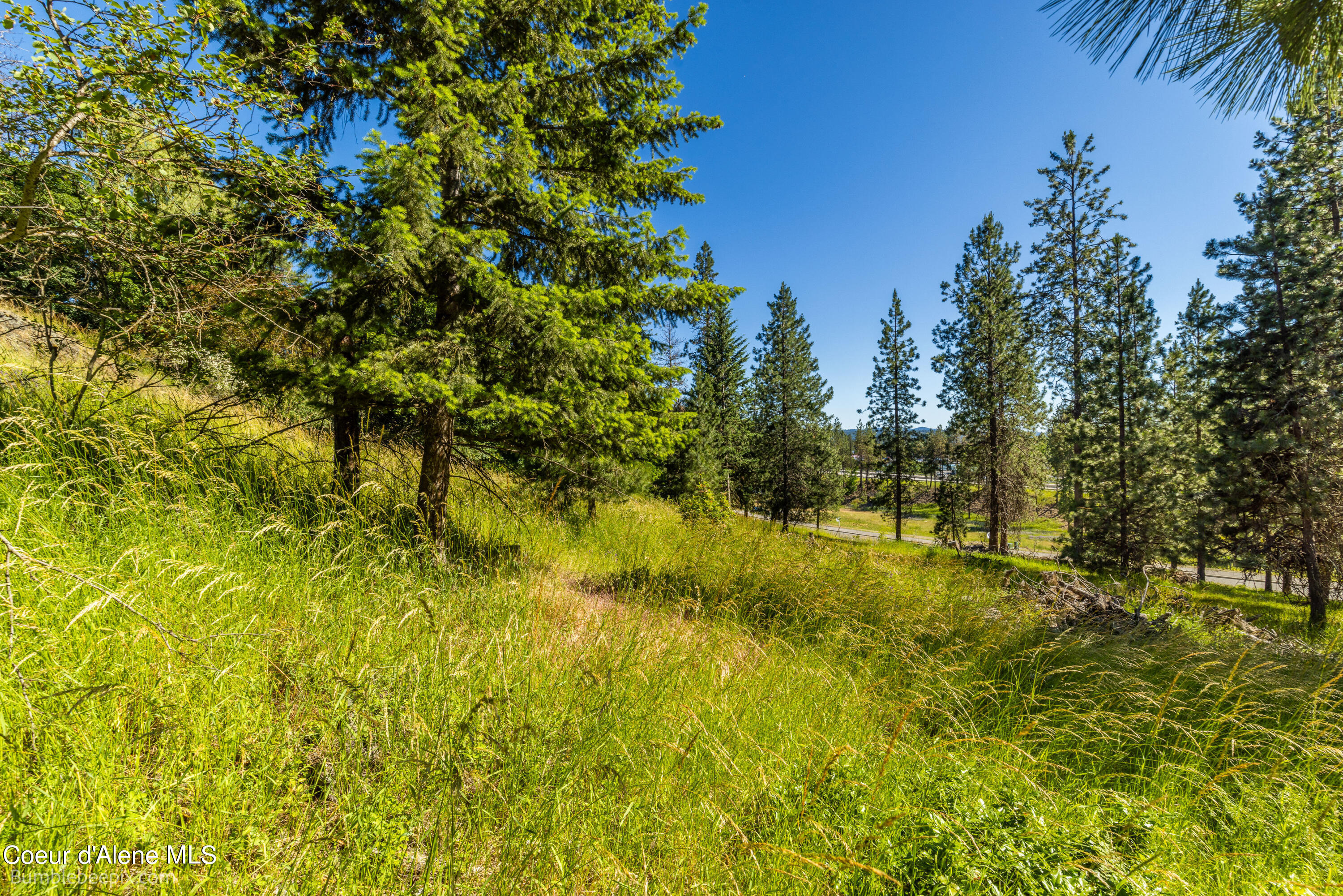 686 & 750 N Lilac Ln, Coeur d'Alene, Texas image 22