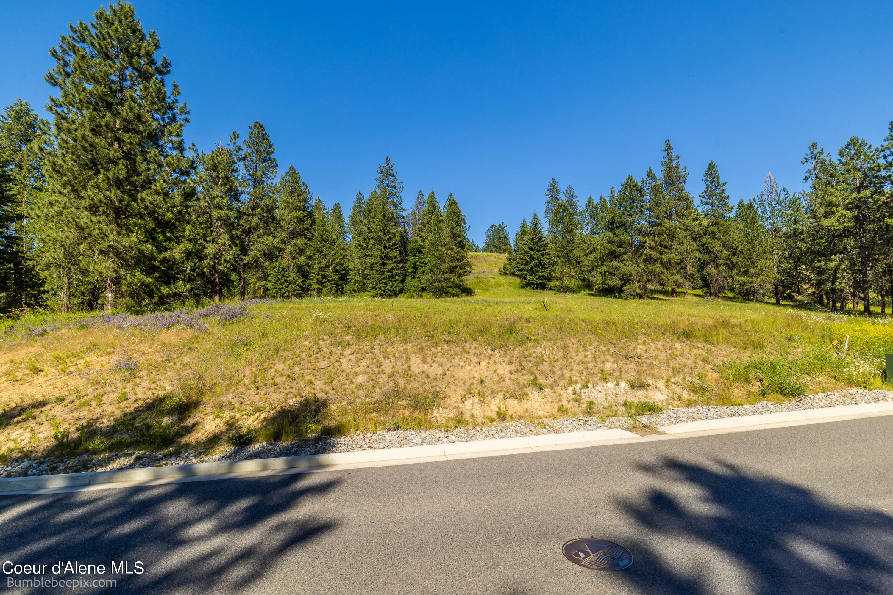 686 & 750 N Lilac Ln, Coeur d'Alene, Texas image 11