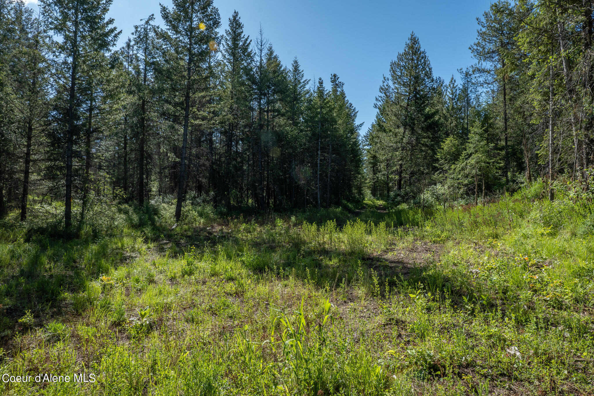 Lot 2 Flat Iron, Spirit Lake, Idaho image 42