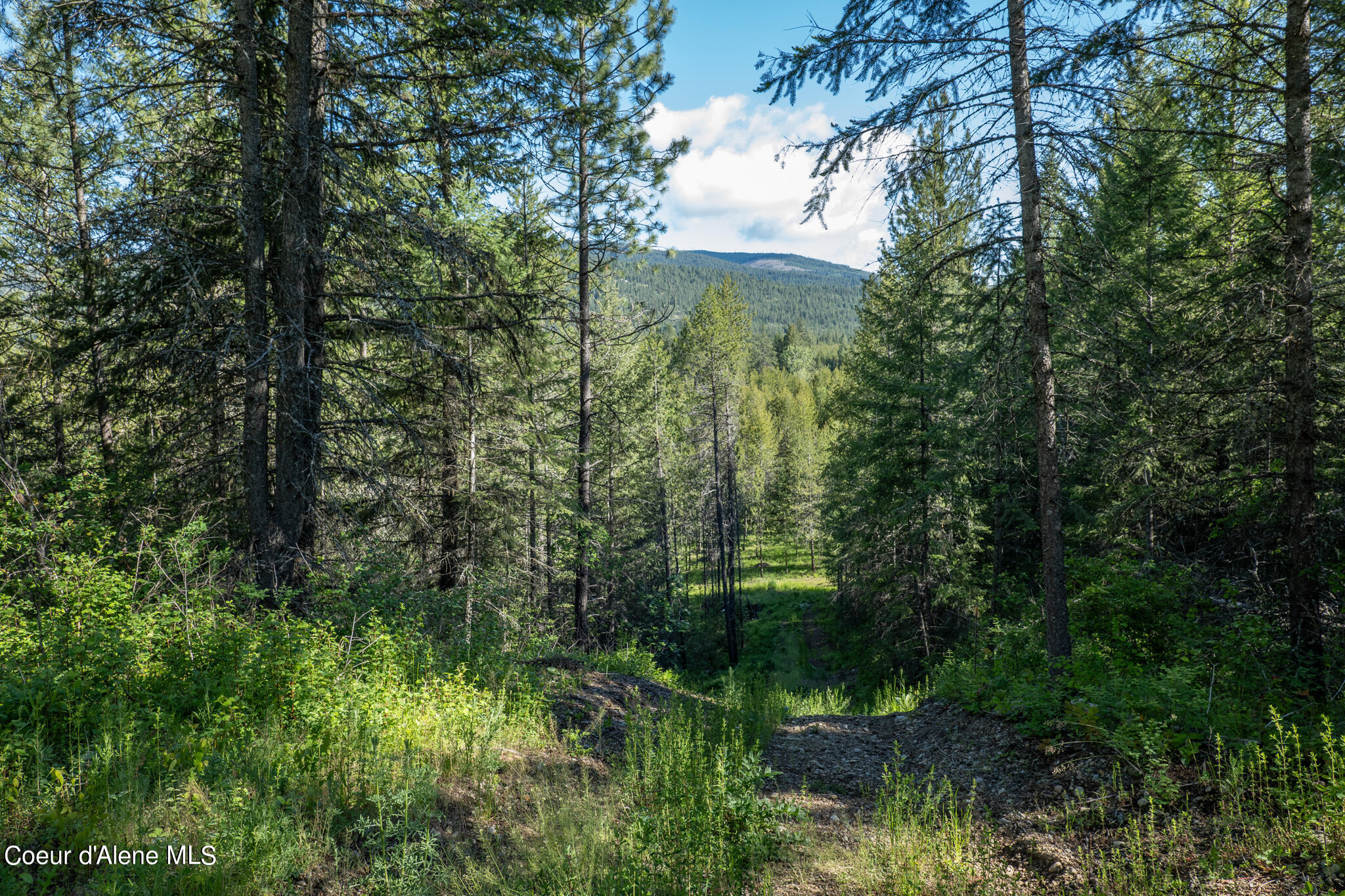 Lot 2 Flat Iron, Spirit Lake, Idaho image 49