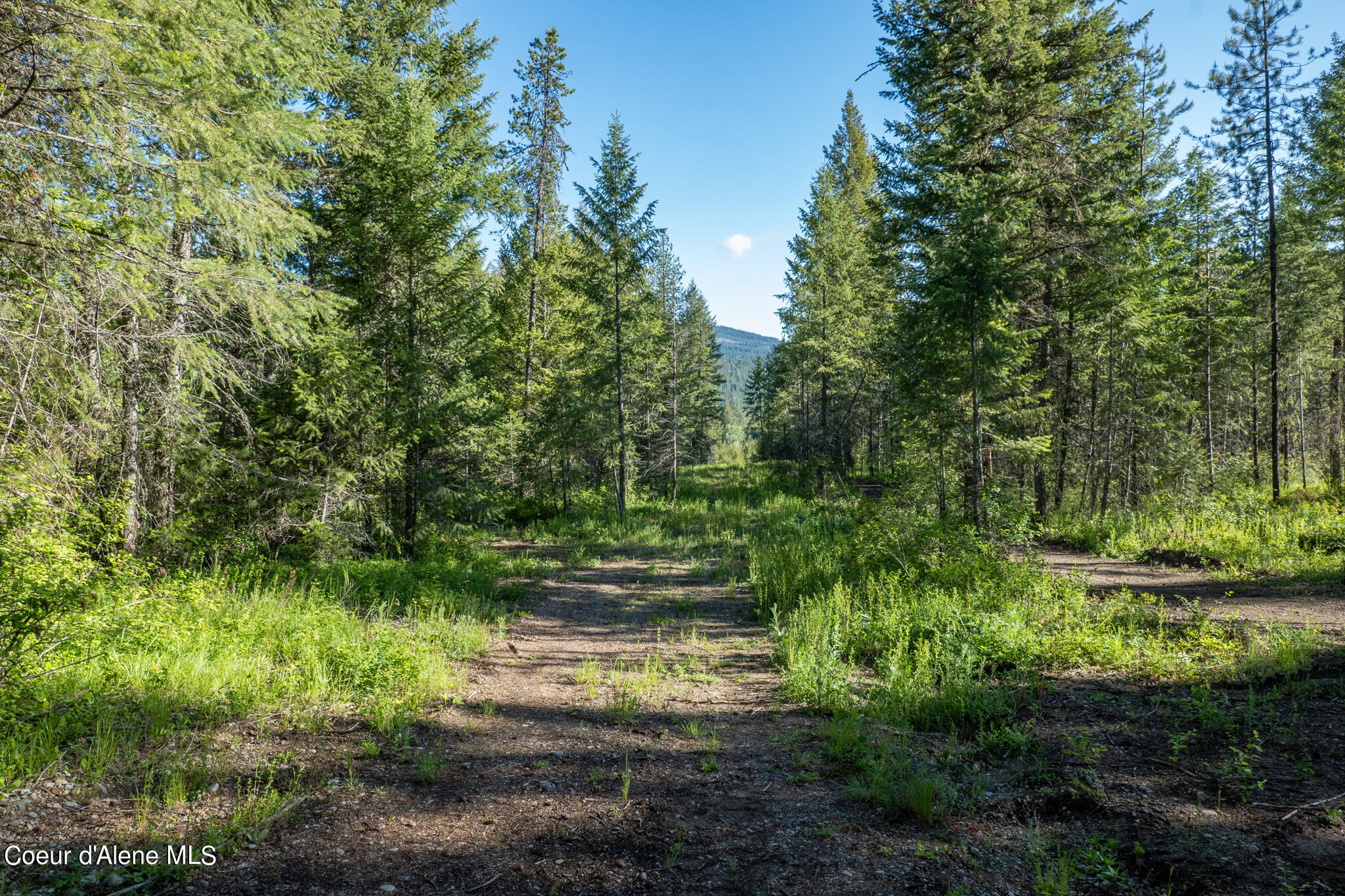 Lot 2 Flat Iron, Spirit Lake, Idaho image 38