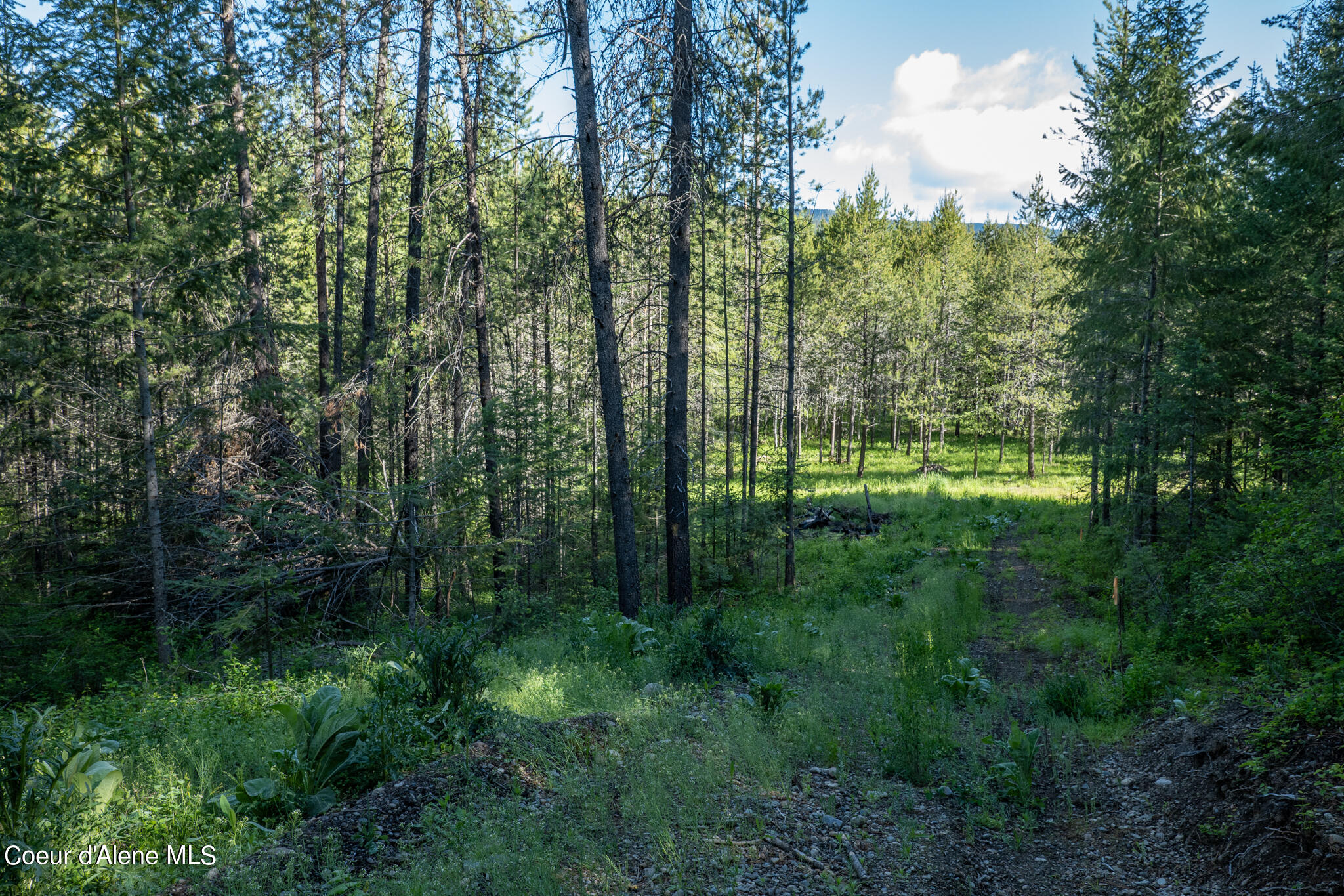 Lot 2 Flat Iron, Spirit Lake, Idaho image 50