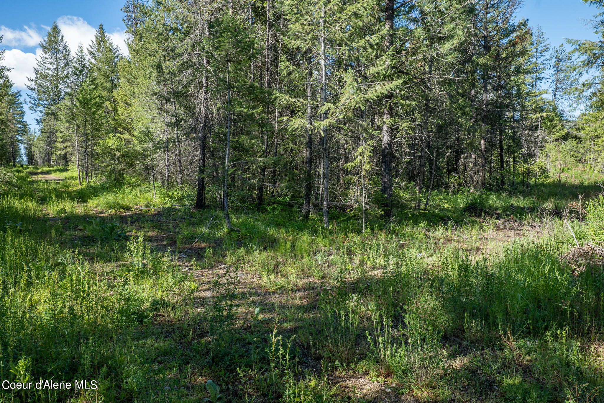 Lot 2 Flat Iron, Spirit Lake, Idaho image 47