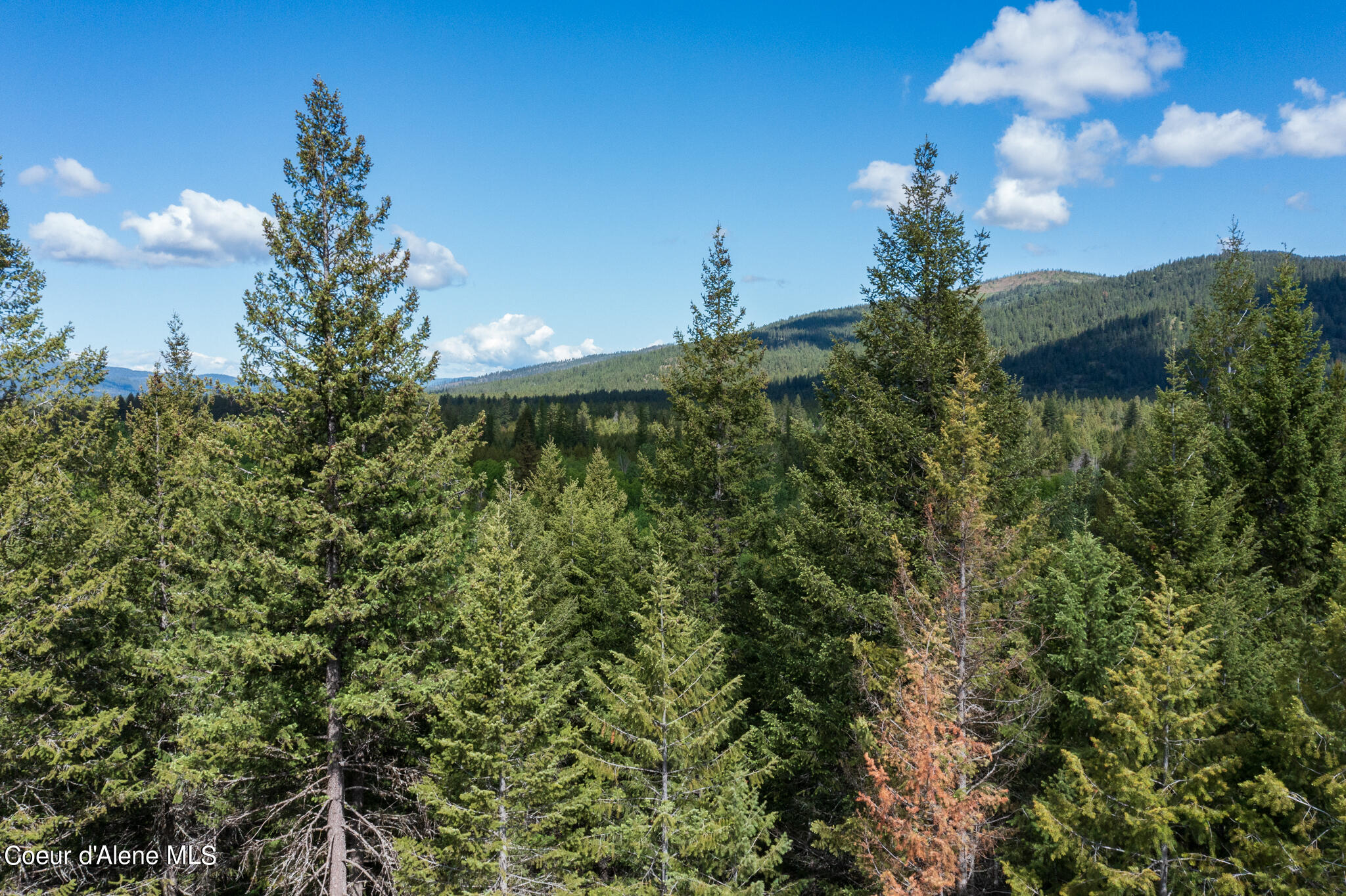 Lot 2 Flat Iron, Spirit Lake, Idaho image 31