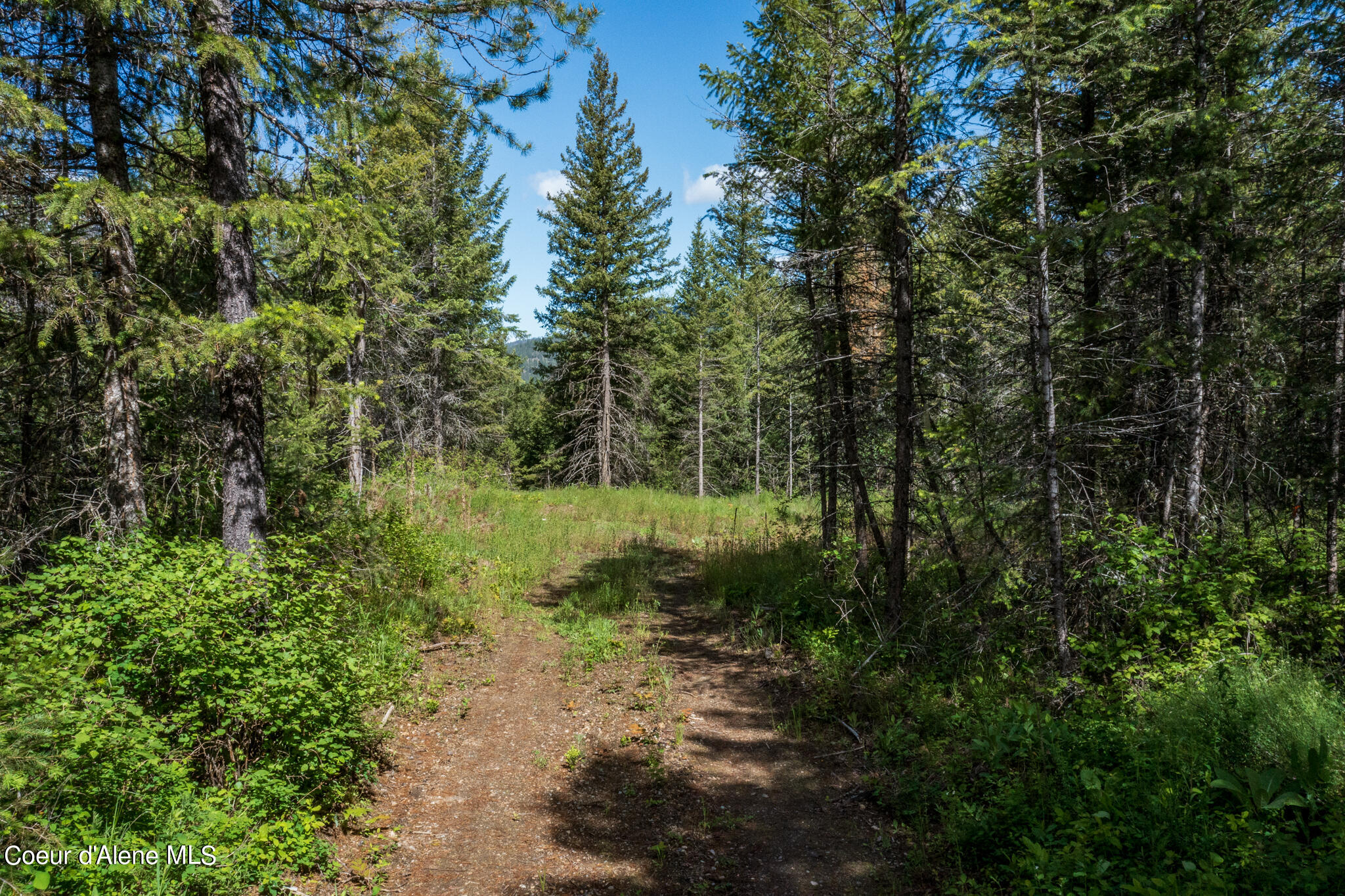 Lot 2 Flat Iron, Spirit Lake, Idaho image 44