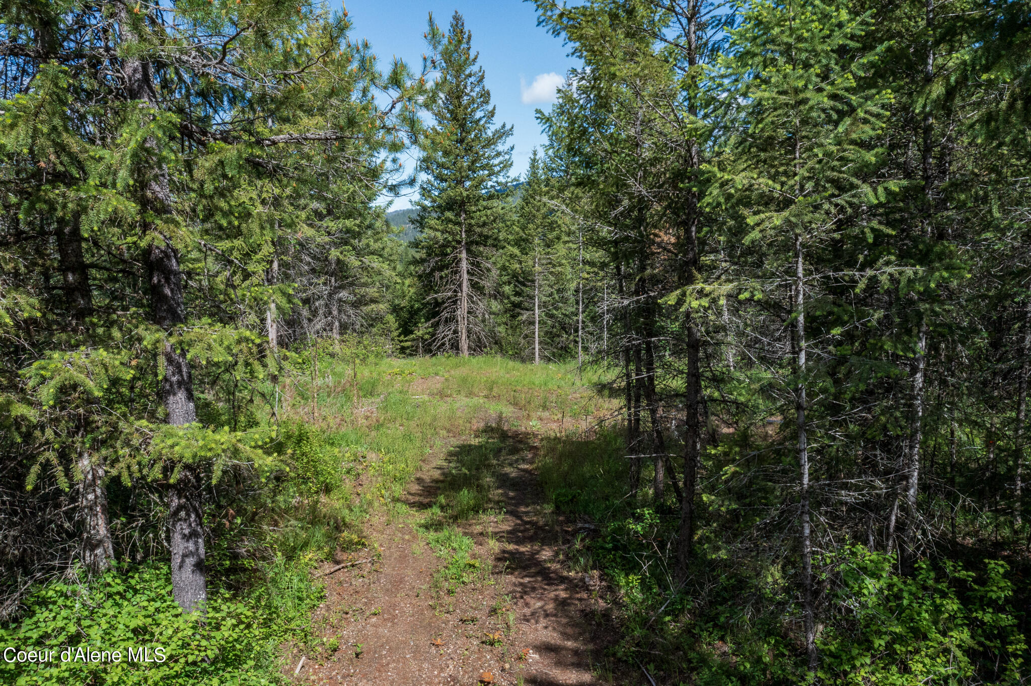 Lot 2 Flat Iron, Spirit Lake, Idaho image 43