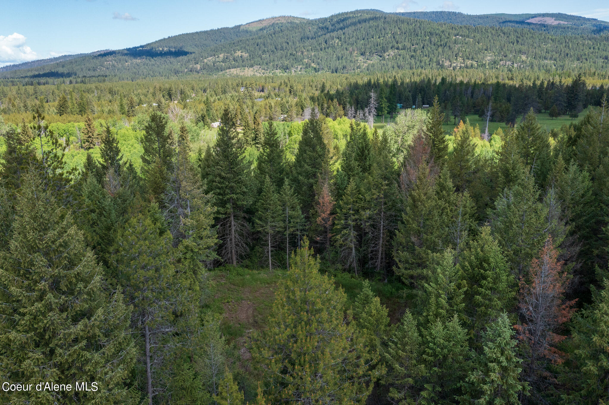 Lot 2 Flat Iron, Spirit Lake, Idaho image 10