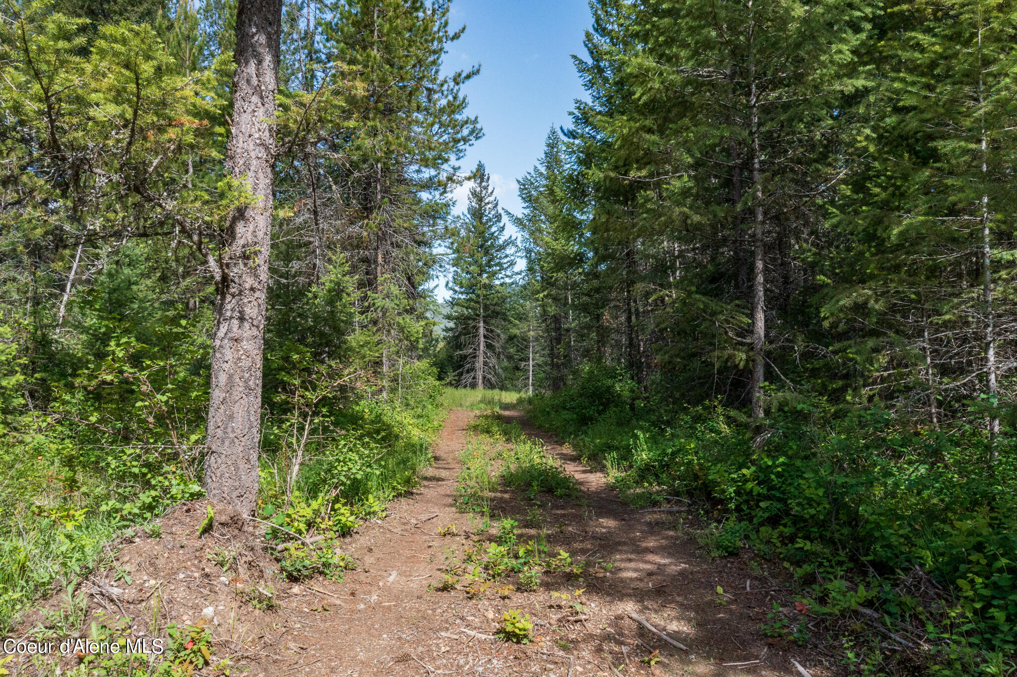 Lot 2 Flat Iron, Spirit Lake, Idaho image 45