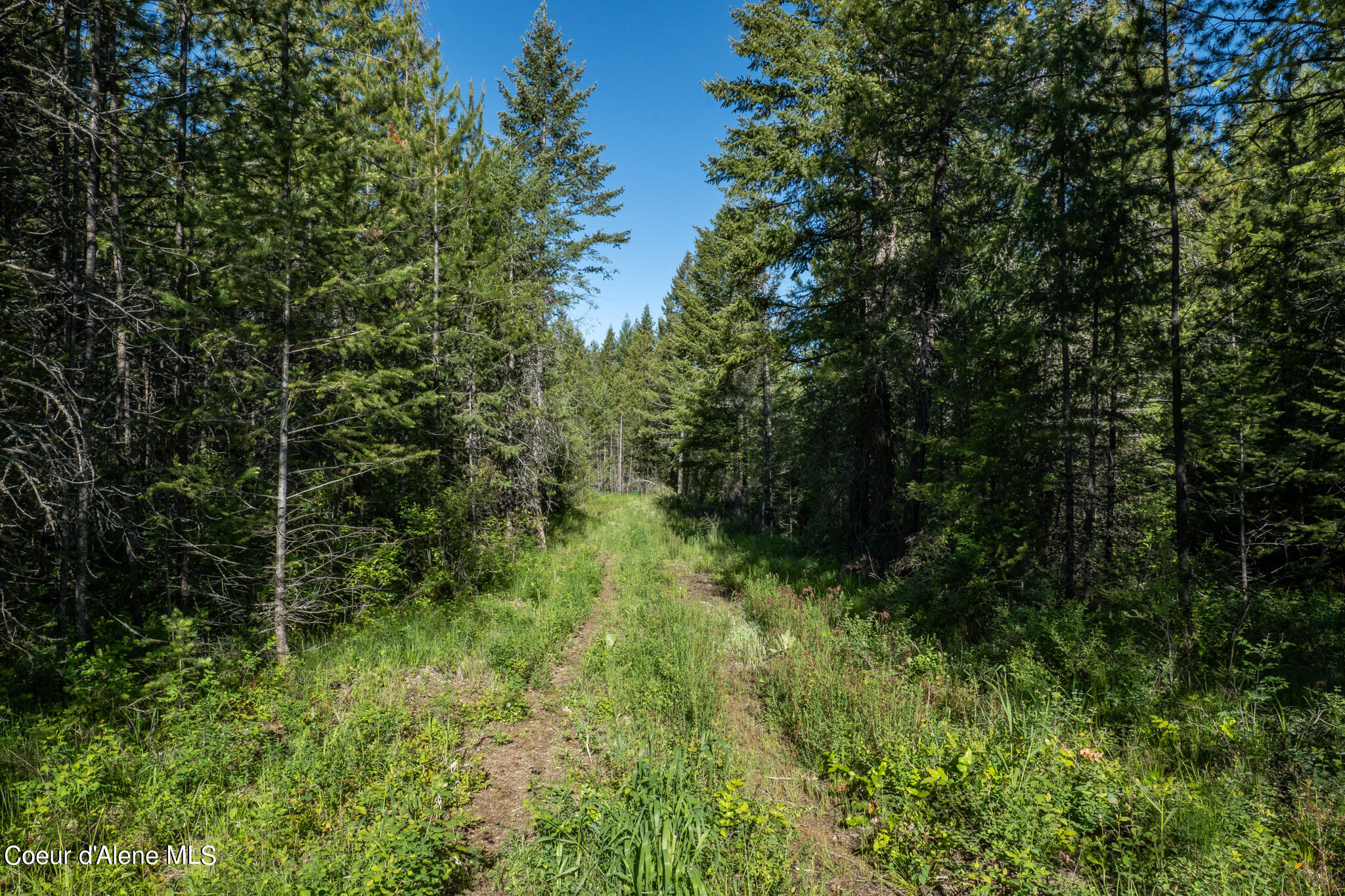 Lot 2 Flat Iron, Spirit Lake, Idaho image 37