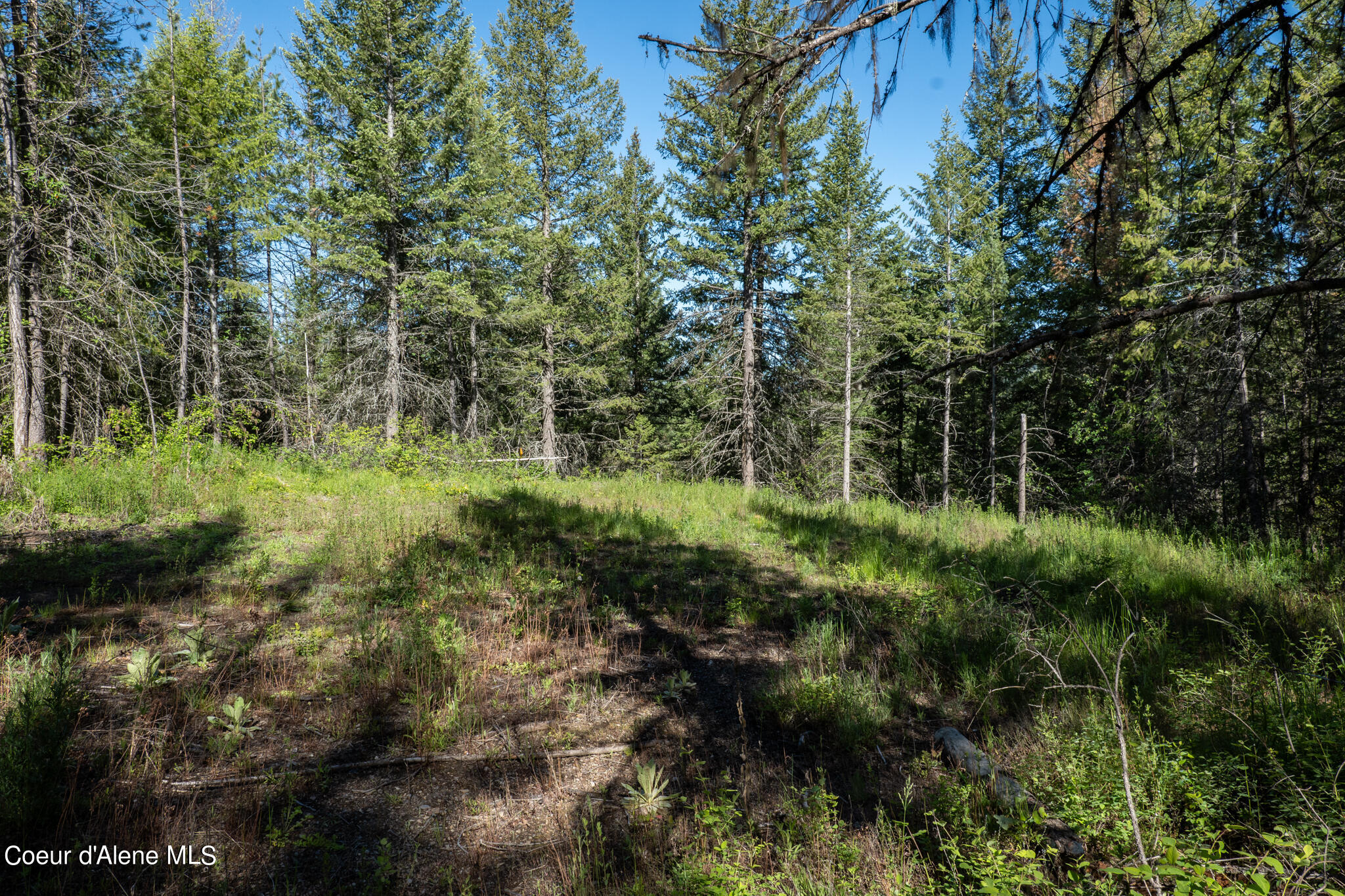 Lot 2 Flat Iron, Spirit Lake, Idaho image 41