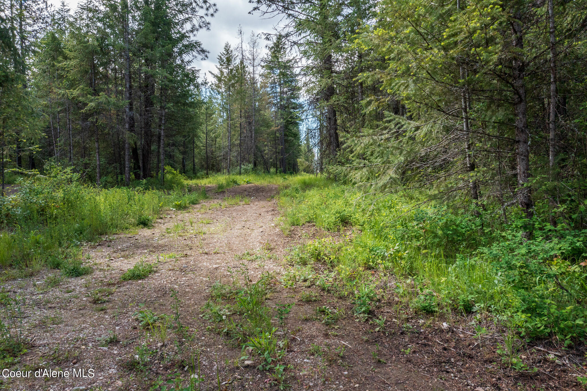 Lot 2 Flat Iron, Spirit Lake, Idaho image 48