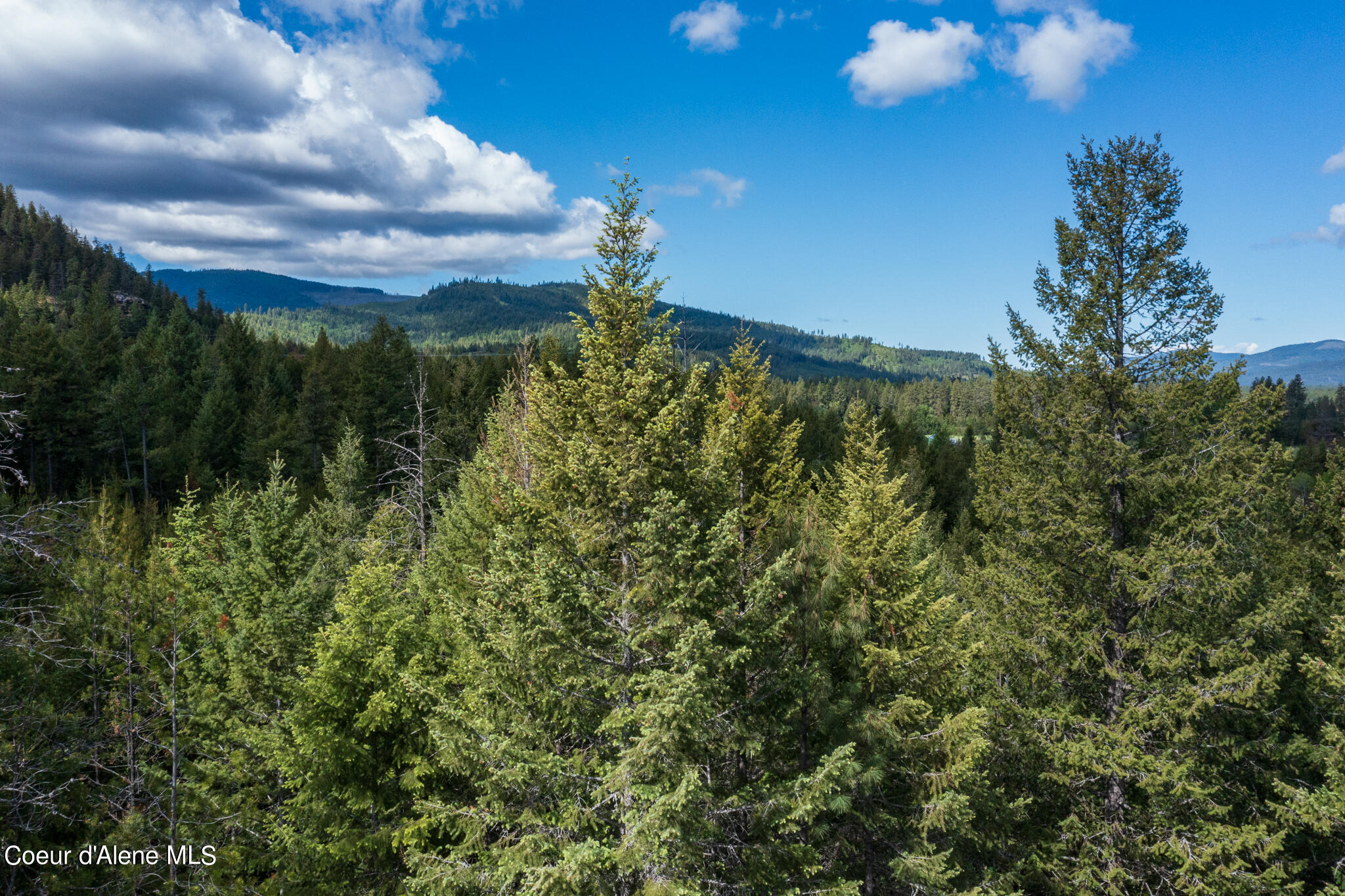 Lot 2 Flat Iron, Spirit Lake, Idaho image 11