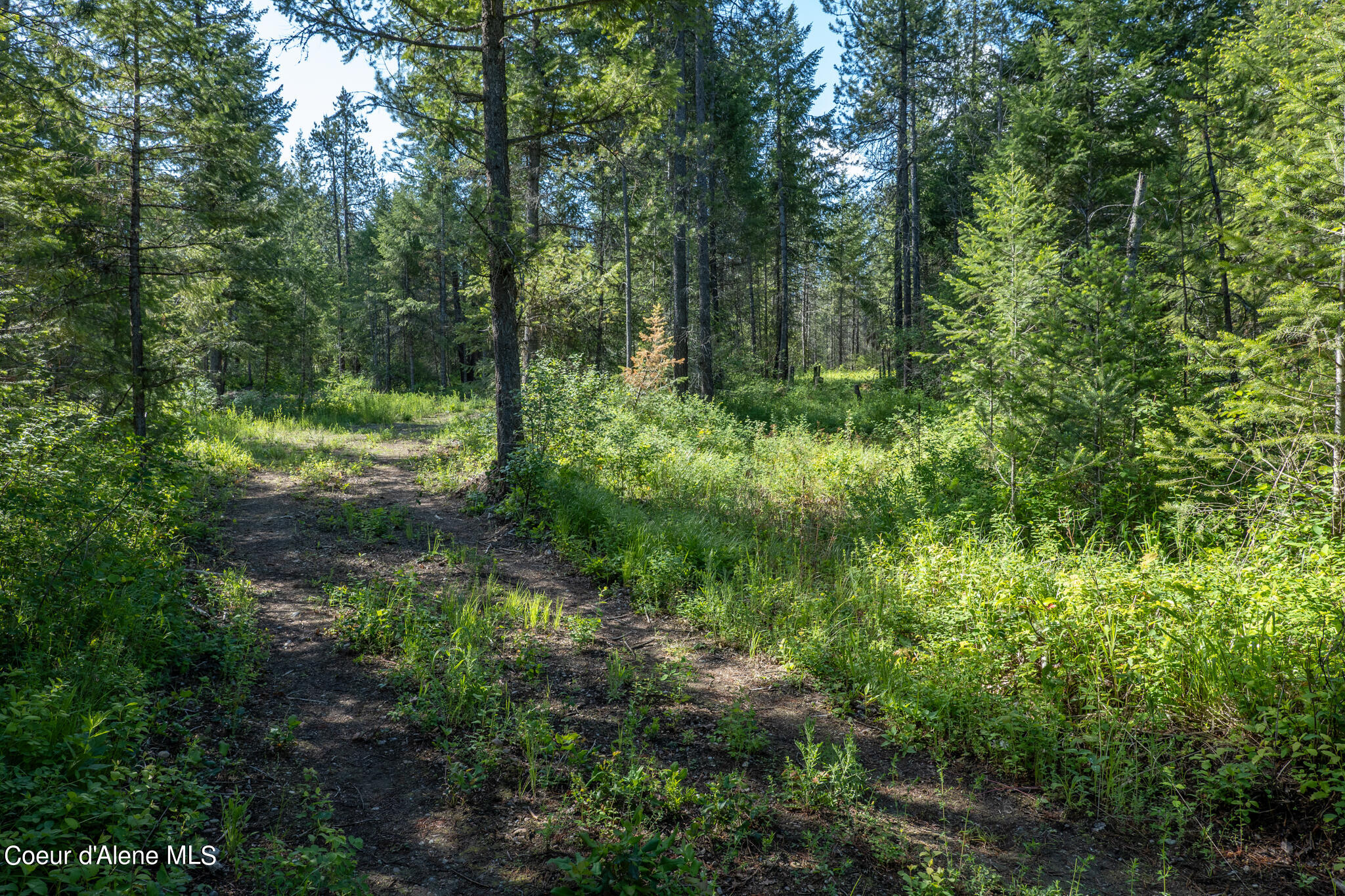 Lot 2 Flat Iron, Spirit Lake, Idaho image 46