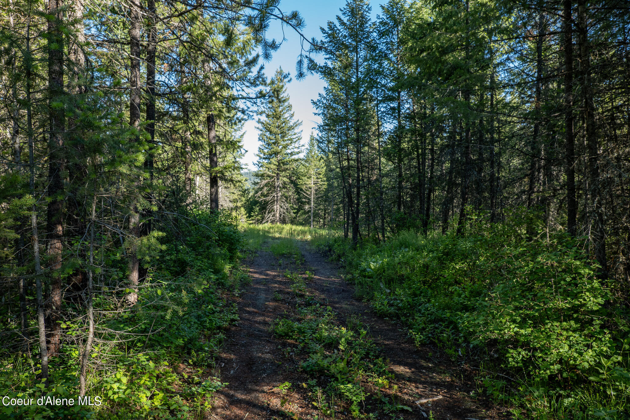 Lot 2 Flat Iron, Spirit Lake, Idaho image 40