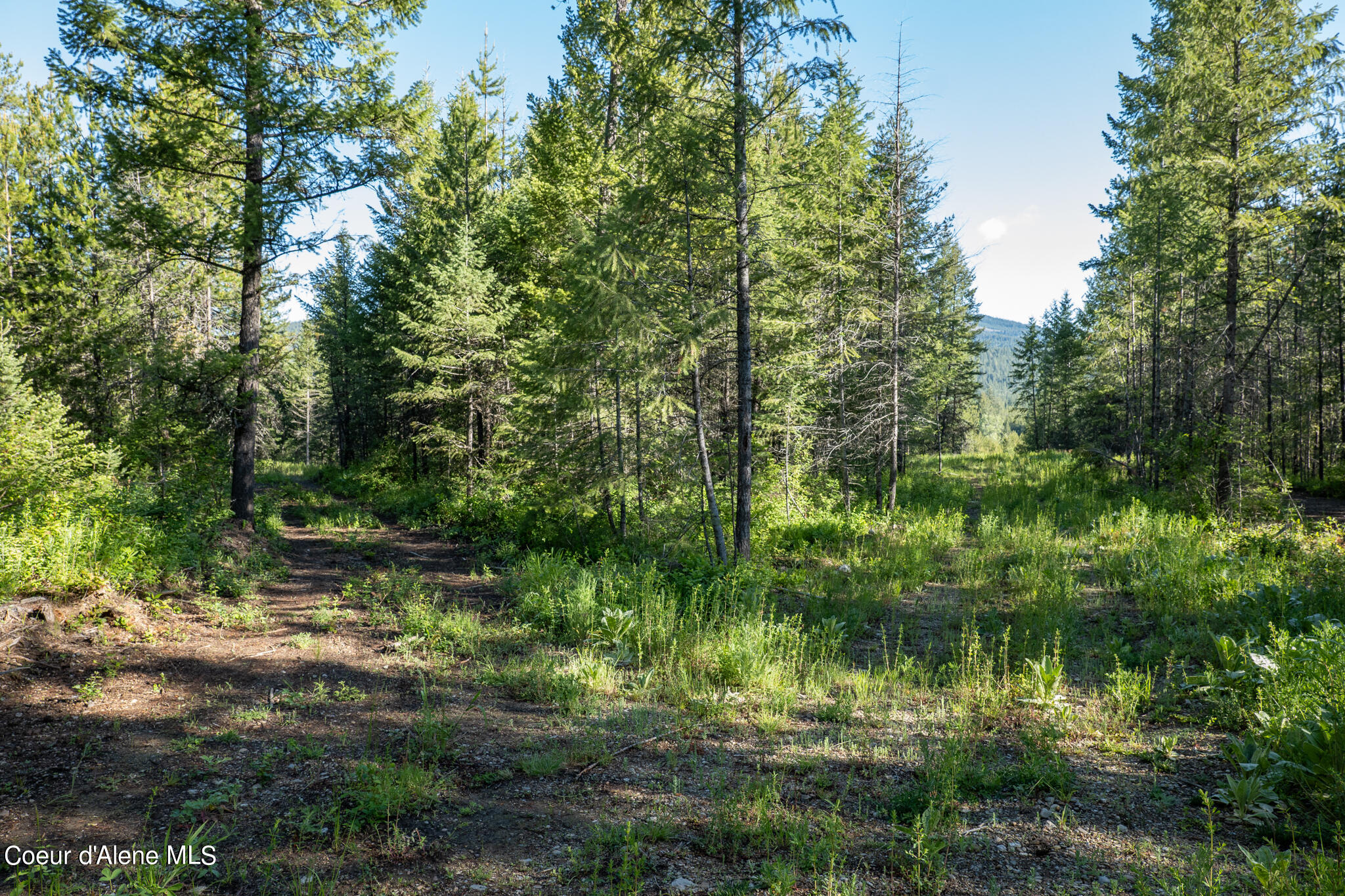 Lot 2 Flat Iron, Spirit Lake, Idaho image 39