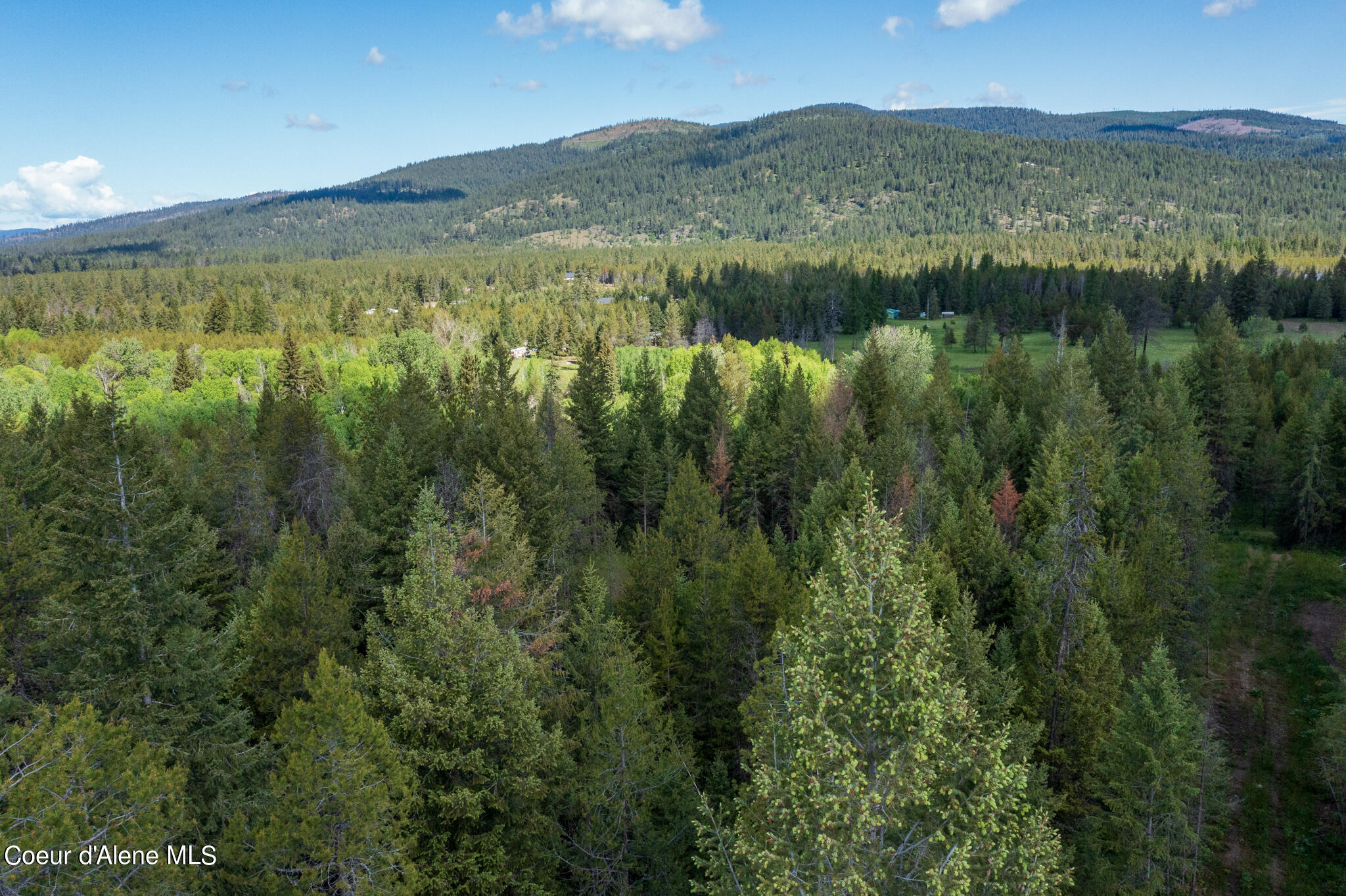 Lot 2 Flat Iron, Spirit Lake, Idaho image 9