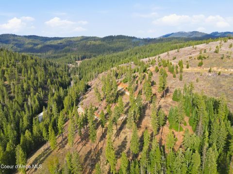 Vacant Land For Sale - 2304 Blue Creek Rd (lot 1)<br/> Coeur d'Alene, ID 83814