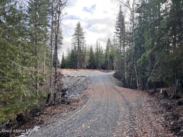 Parcel 2 Wildberry Ln, Sagle, Idaho image 14