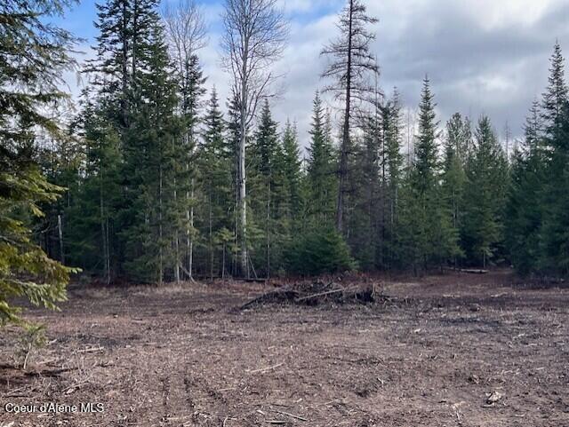 Parcel 2 Wildberry Ln, Sagle, Idaho image 6