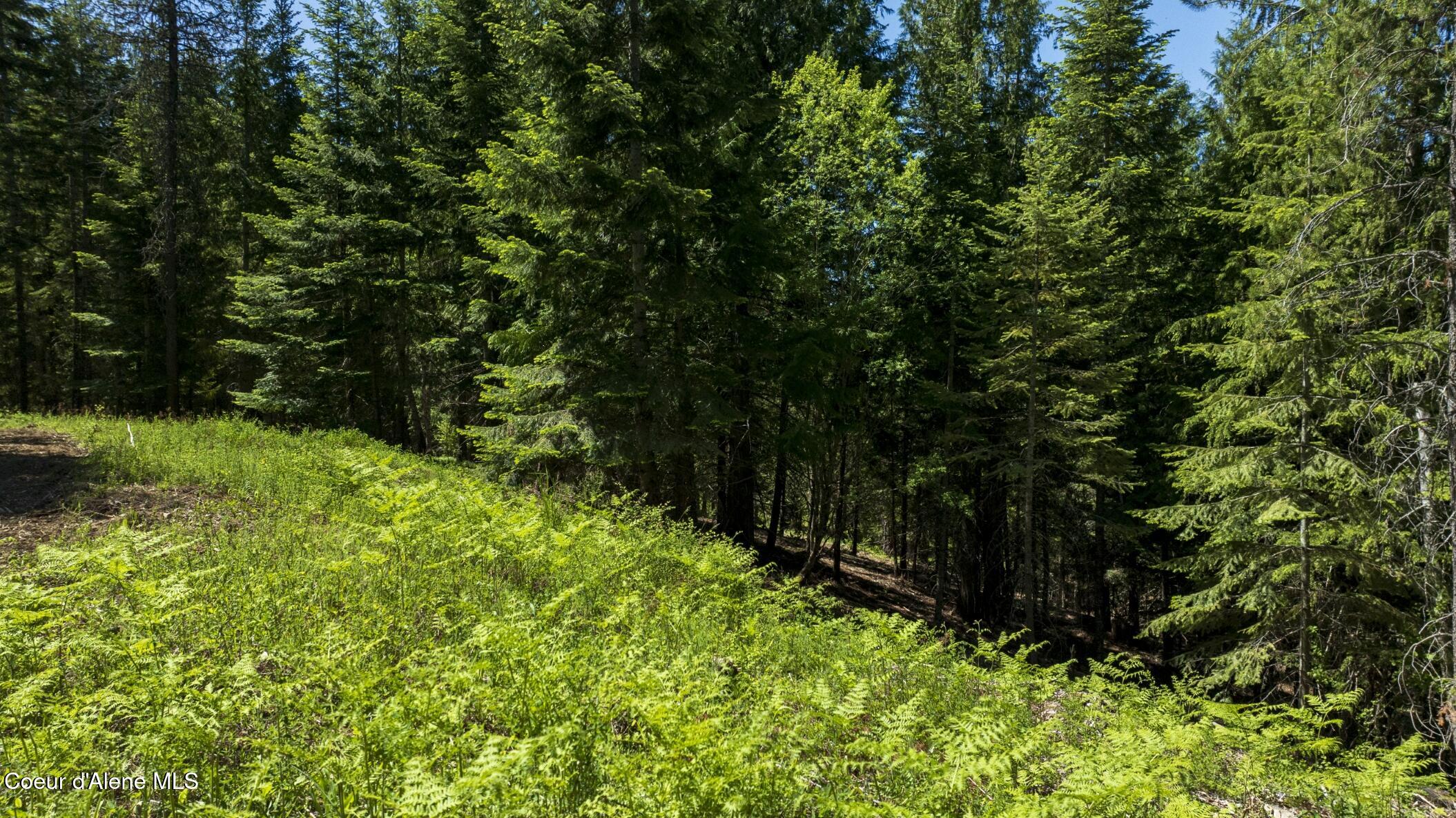 TBD Kreiger Creek Rd Lot 2 Way, Careywood, Alaska image 12