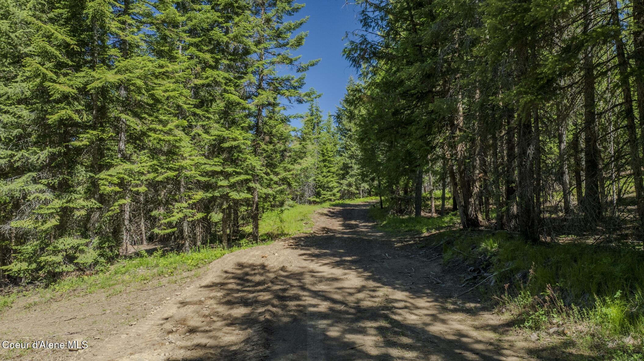 TBD Kreiger Creek Rd Lot 2 Way, Careywood, Alaska image 3