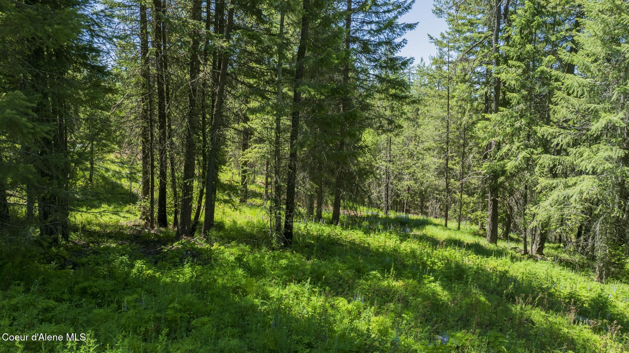 TBD Kreiger Creek Rd Lot 2 Way, Careywood, Alaska image 10