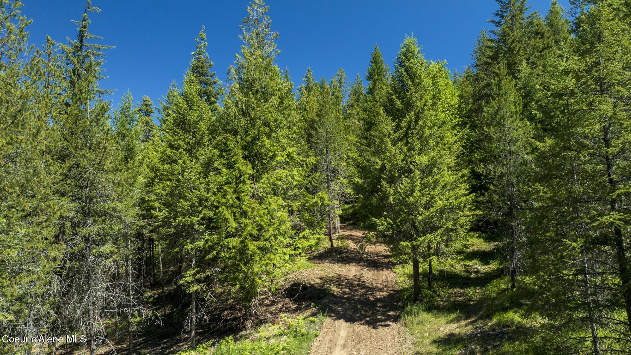TBD Kreiger Creek Rd Lot 2 Way, Careywood, Alaska image 4