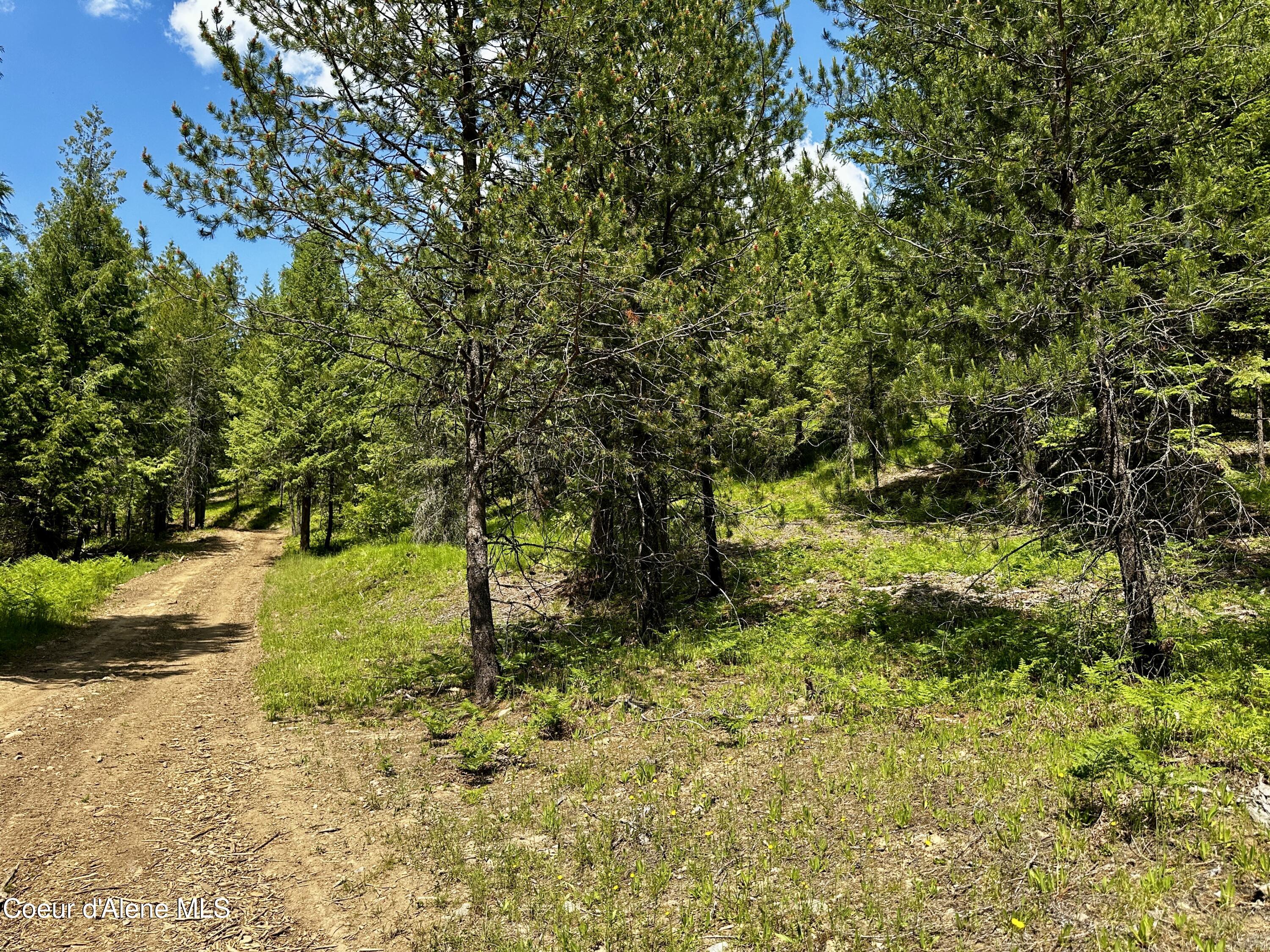 TBD Kreiger Creek Rd Lot 2 Way, Careywood, Alaska image 7