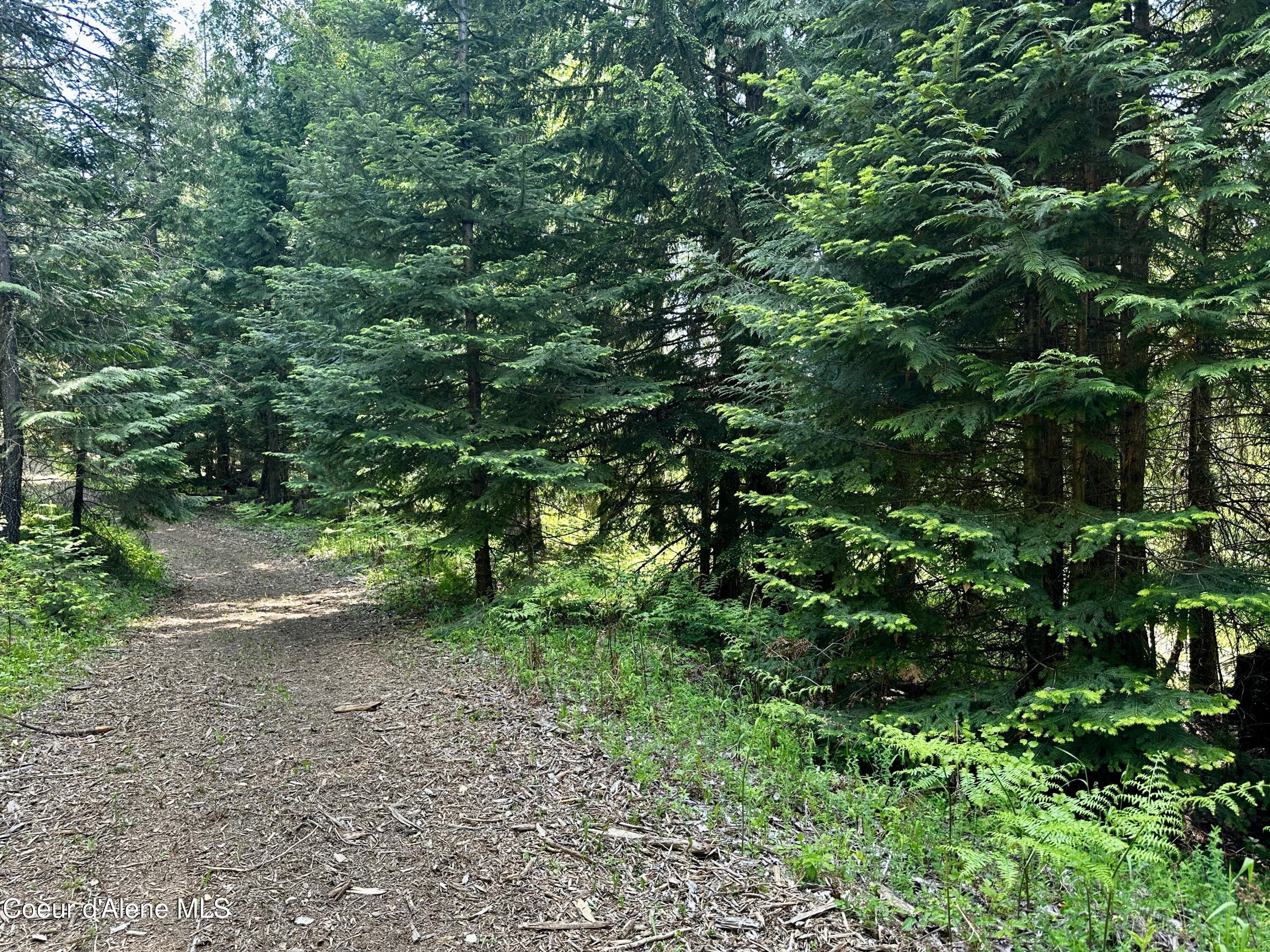 TBD Kreiger Creek Rd Lot 2 Way, Careywood, Alaska image 16