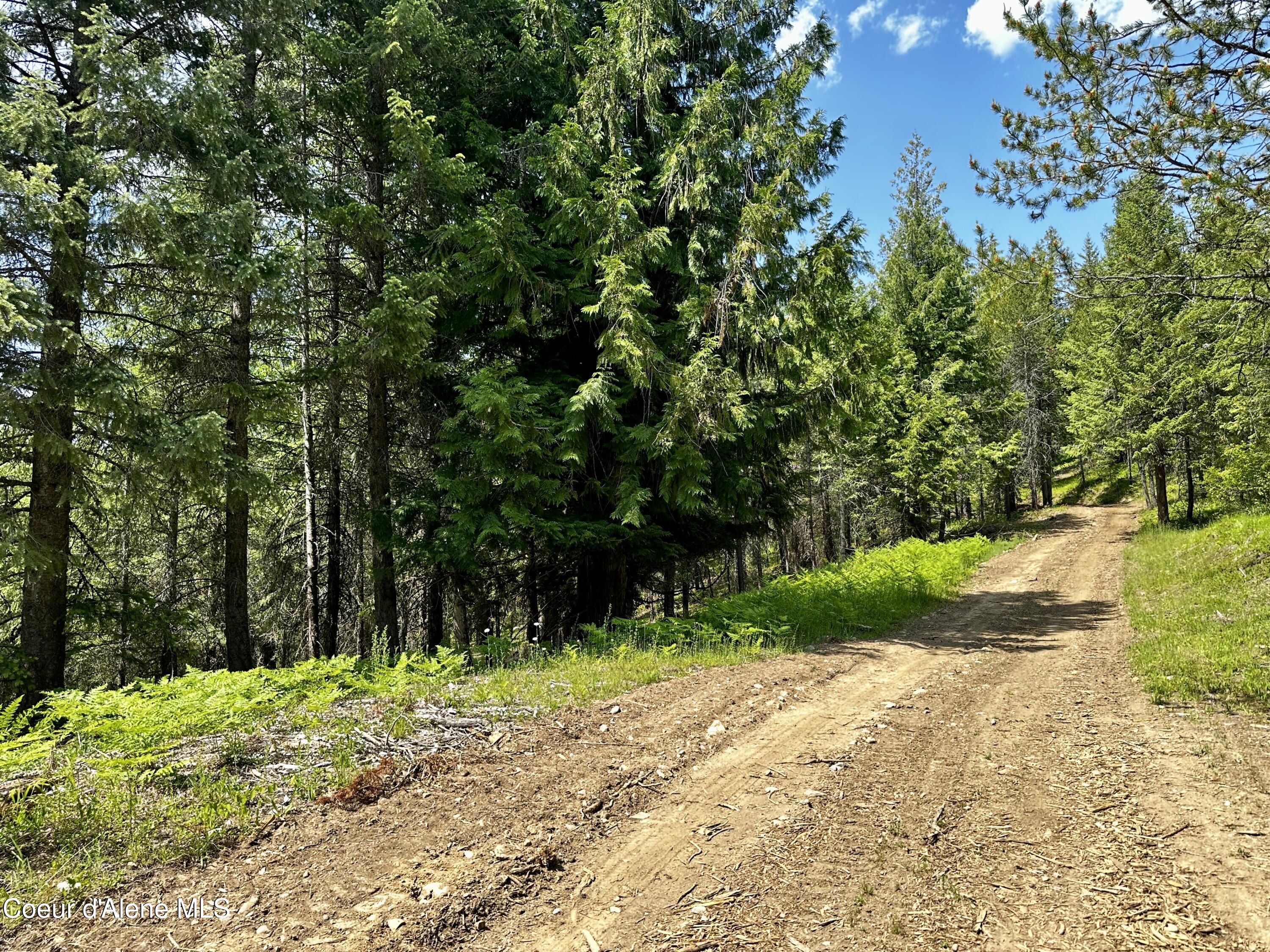 TBD Kreiger Creek Rd Lot 2 Way, Careywood, Alaska image 6