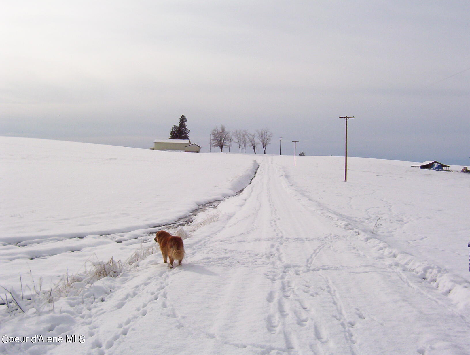 8726 Hwy 11, Orofino, Idaho image 12