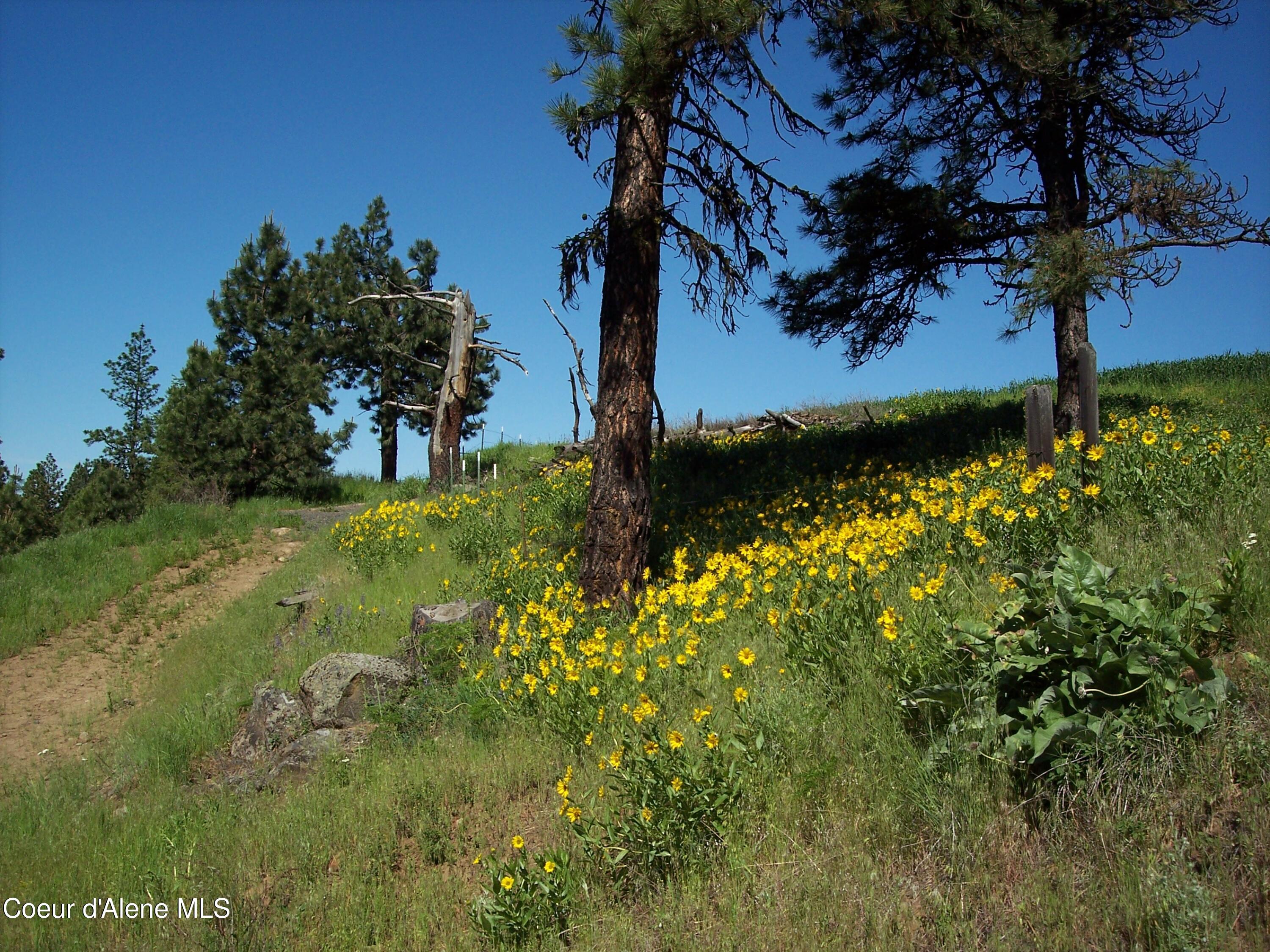 8726 Hwy 11, Orofino, Idaho image 9