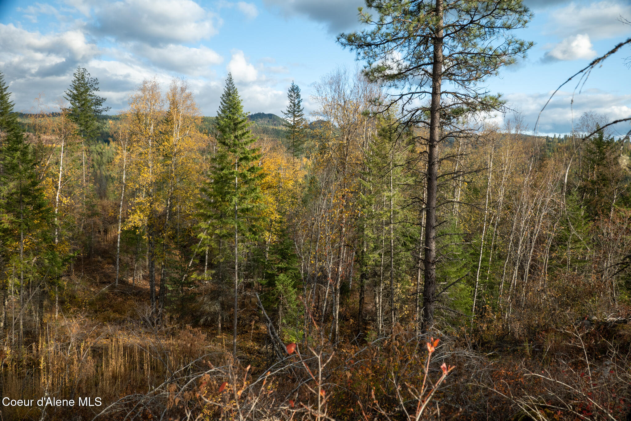 Parcel 2 Crosswhite Rd, Careywood, Idaho image 18