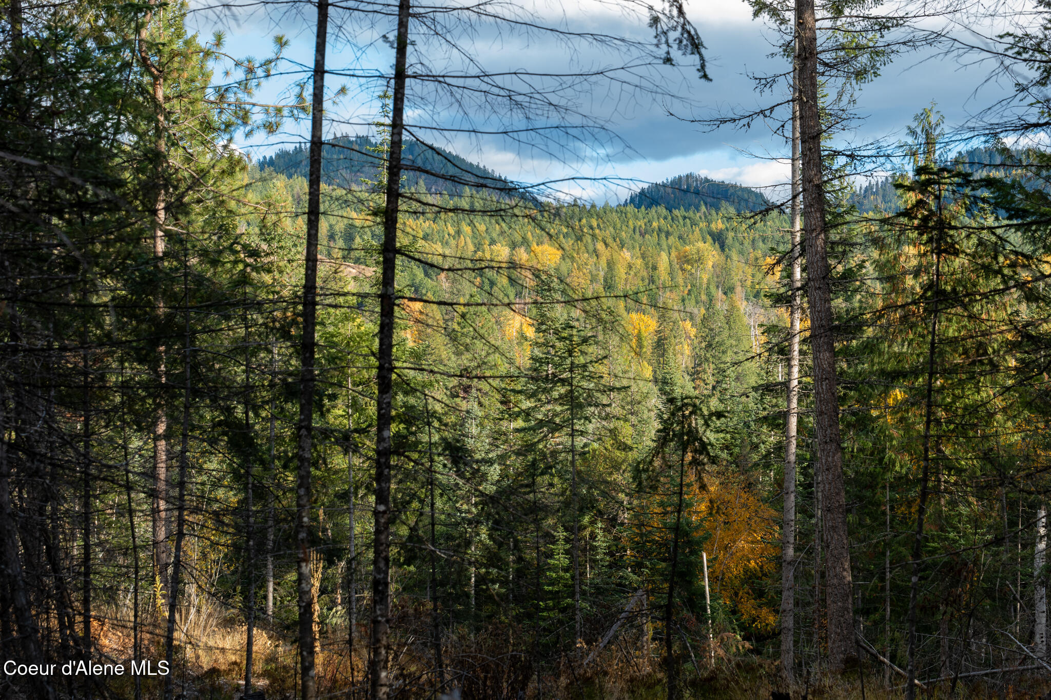 Parcel 2 Crosswhite Rd, Careywood, Idaho image 2