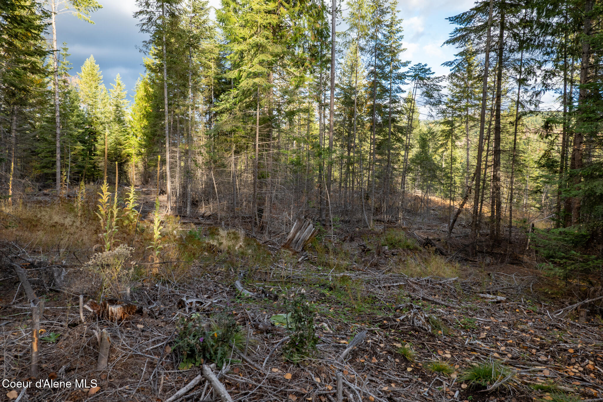 Parcel 2 Crosswhite Rd, Careywood, Idaho image 9