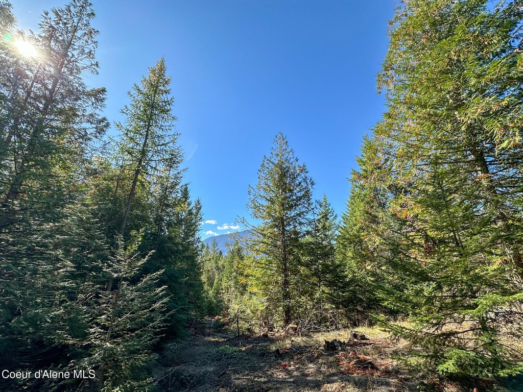 Photo of NNA Turner Hill Rd Rd, Bonners Ferry, ID 83805 (MLS # 25-10225)