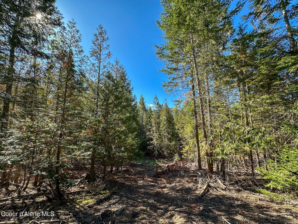 Photo of NNA Turner Hill Rd Rd, Bonners Ferry, ID 83805 (MLS # 25-10225)