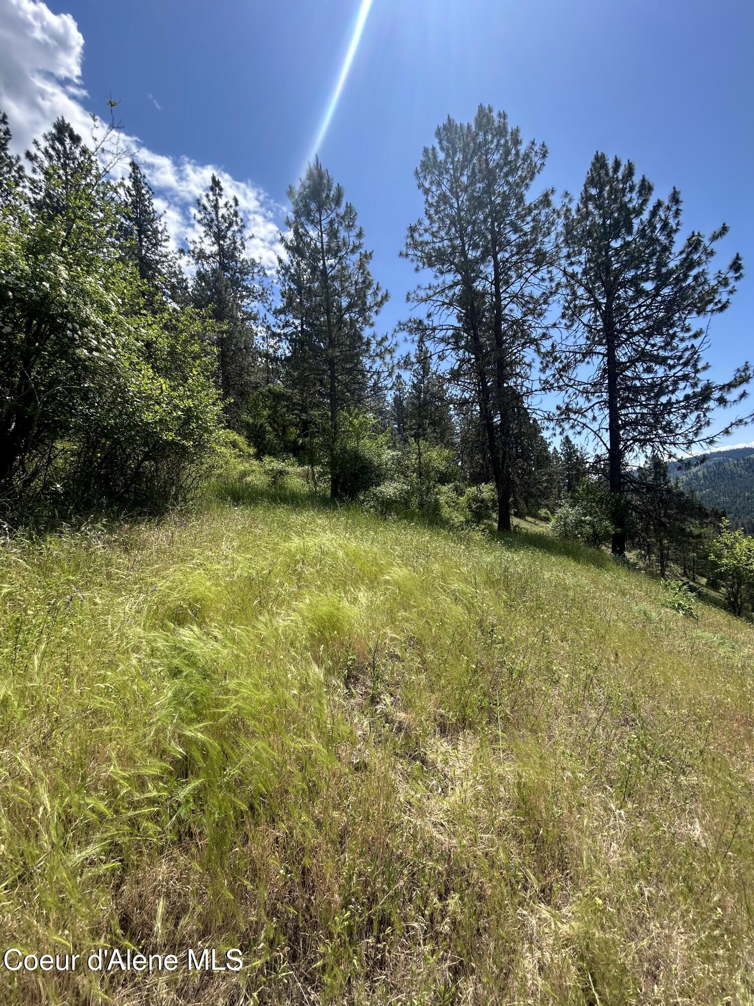 TBD Highway 12 Lot 3 Road, Kooskia, Alaska image 8