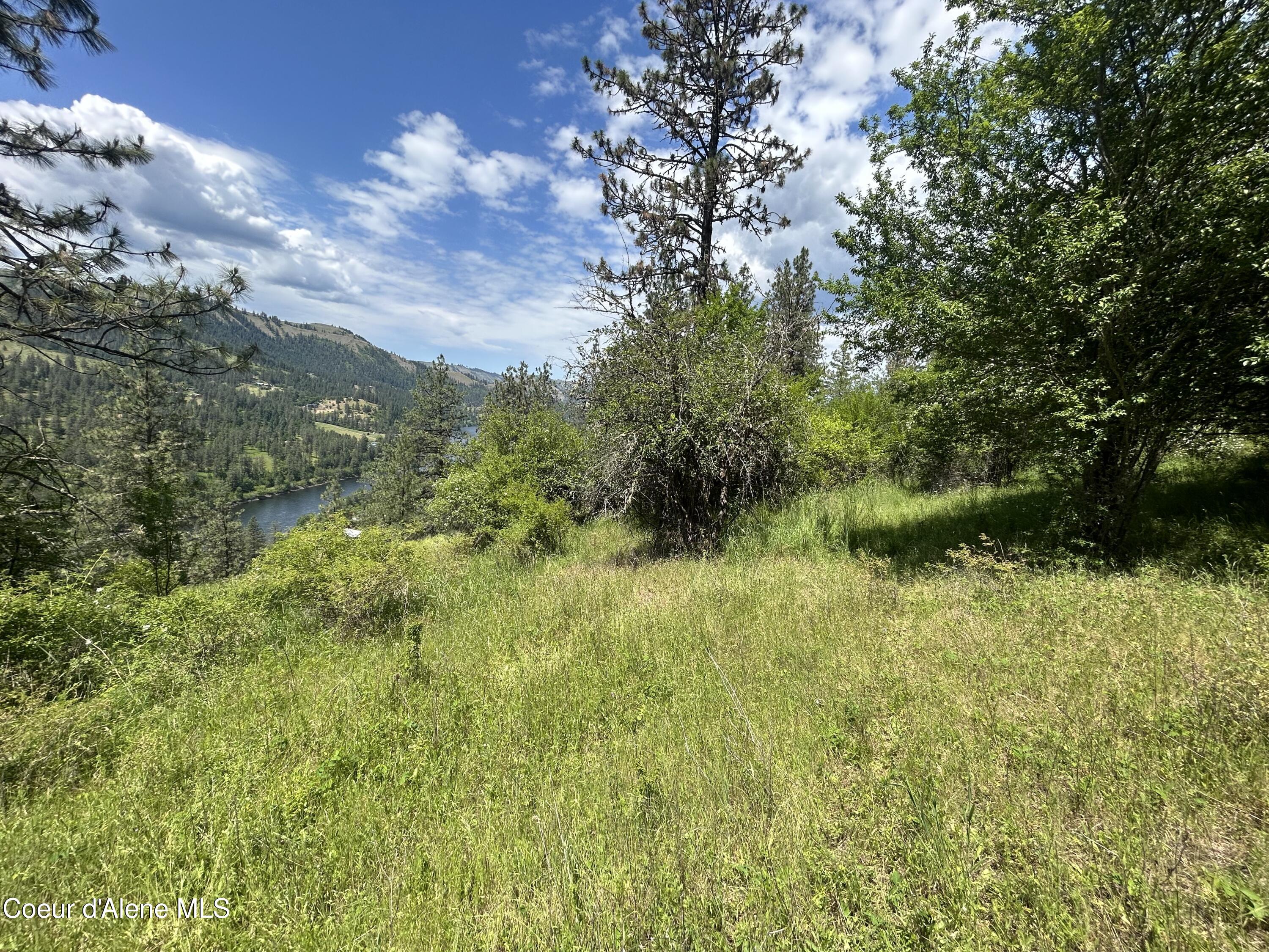 TBD Highway 12 Lot 3 Road, Kooskia, Alaska image 10