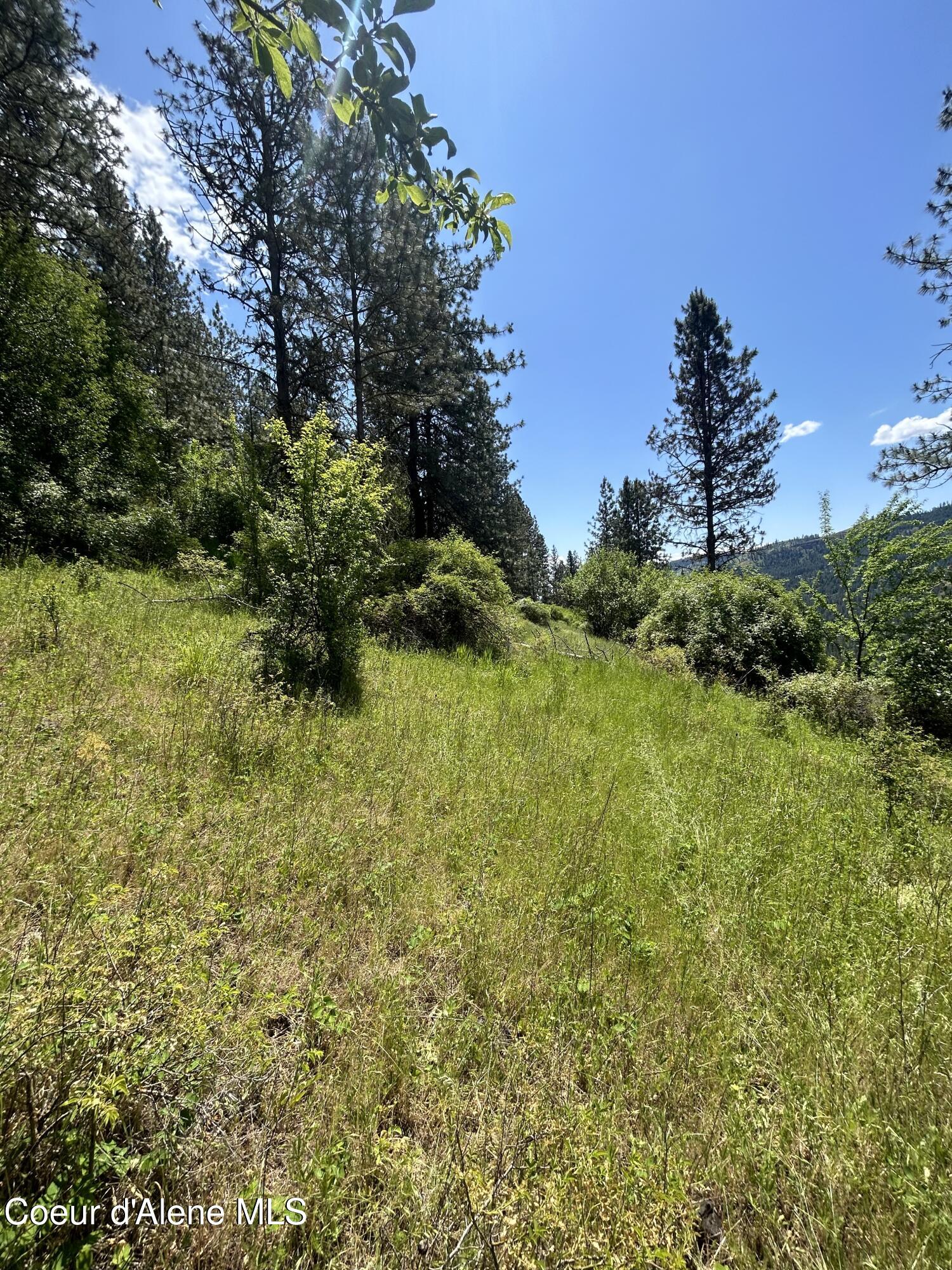 TBD Highway 12 Lot 3 Road, Kooskia, Alaska image 9
