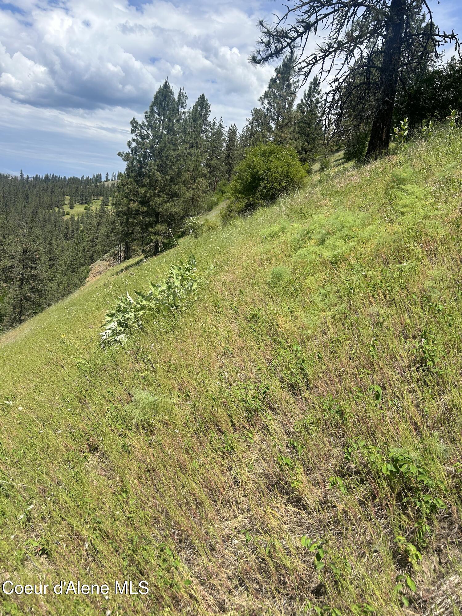 TBD Highway 12 Lot 3 Road, Kooskia, Alaska image 26