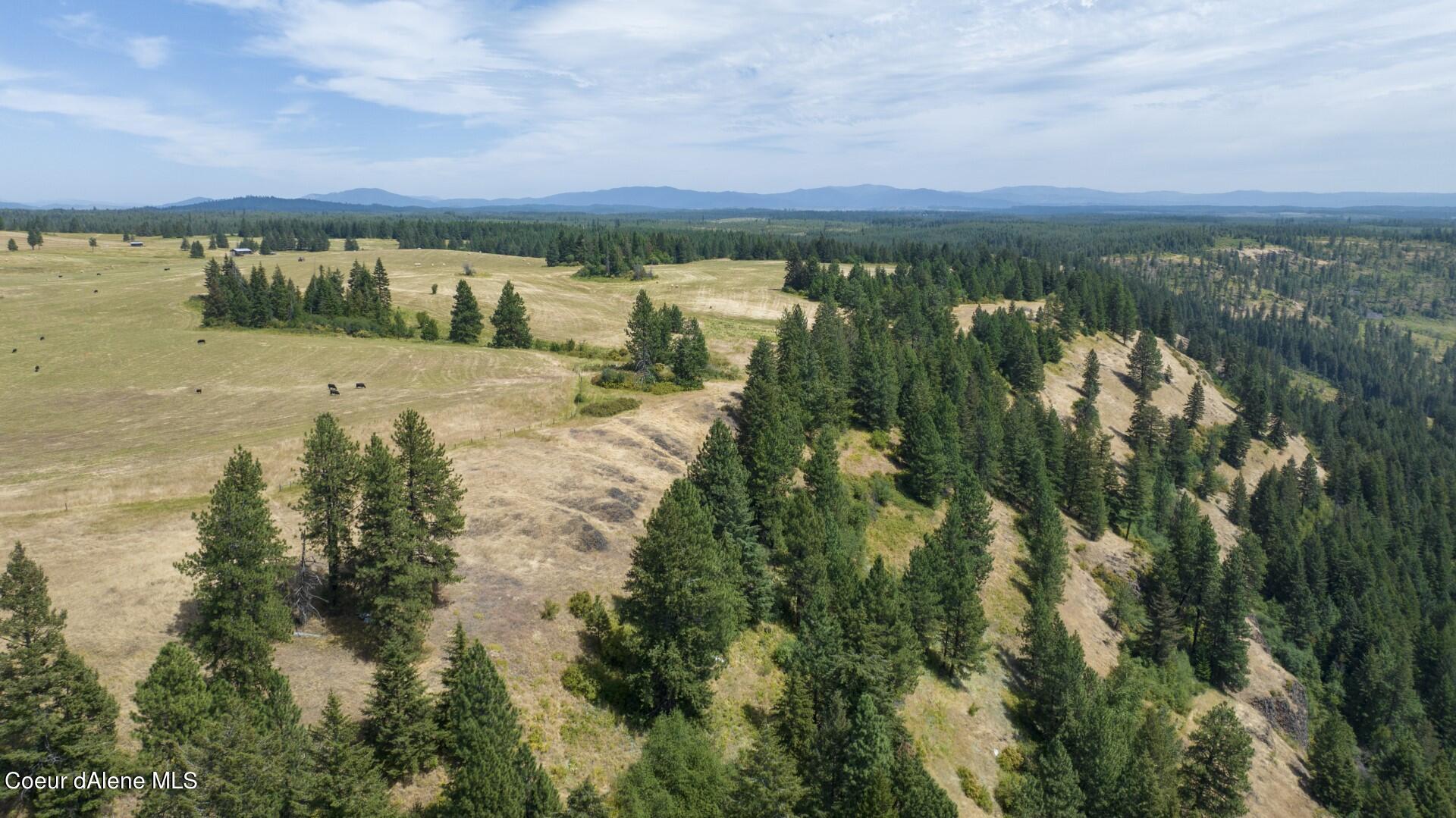 1605 Jasmine Ln, Parcel 14, Weippe, Idaho image 4