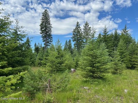 Vacant Land For Sale - TRACT C Usfs 2222a<br/> Bonners Ferry, ID 83805