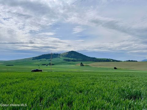 Vacant Land For Sale - 783 Old Mills Mills<br/> Desmet, ID 83824