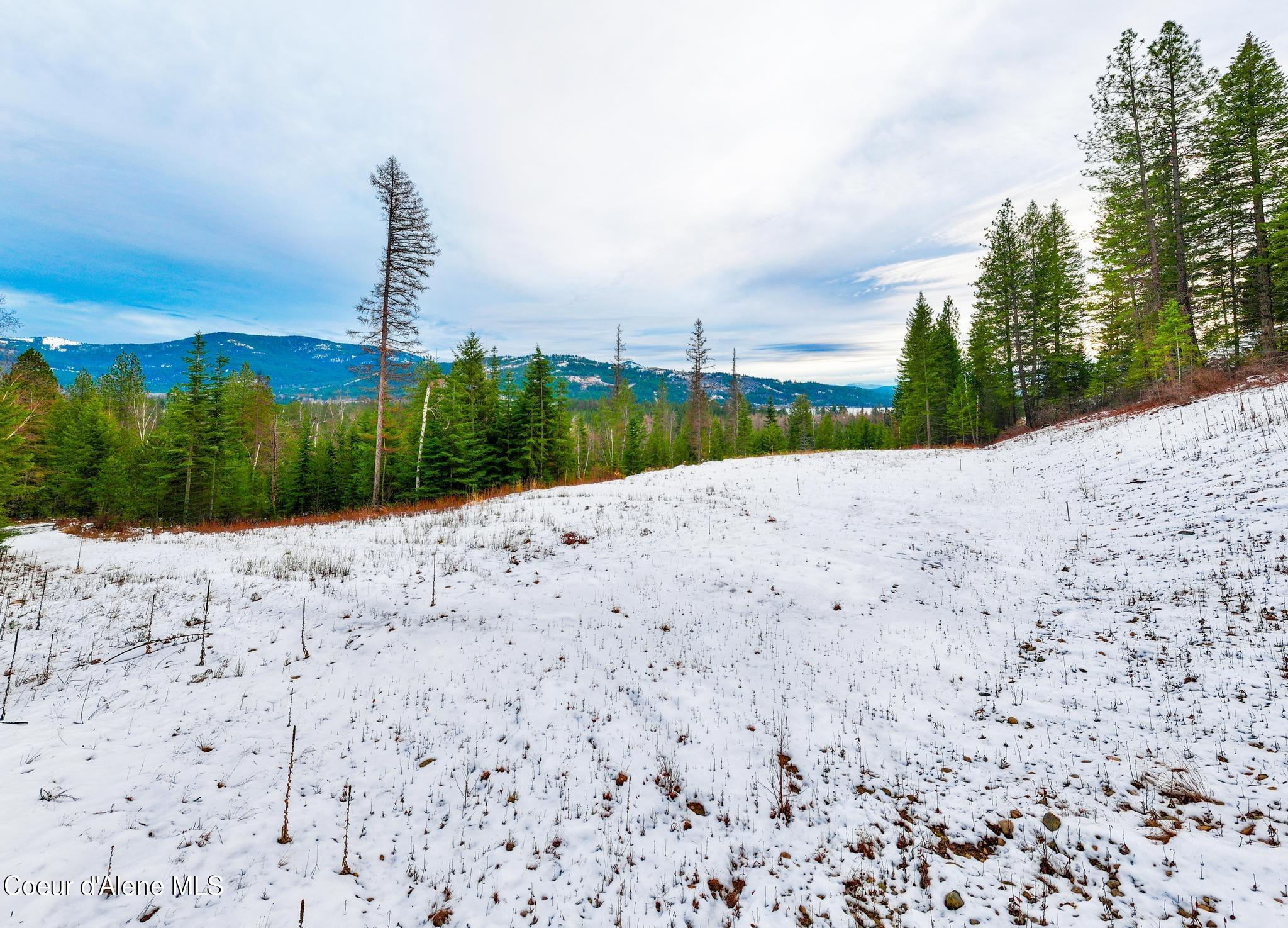 NNA Amethyst Lane, Cocolalla, Idaho image 33